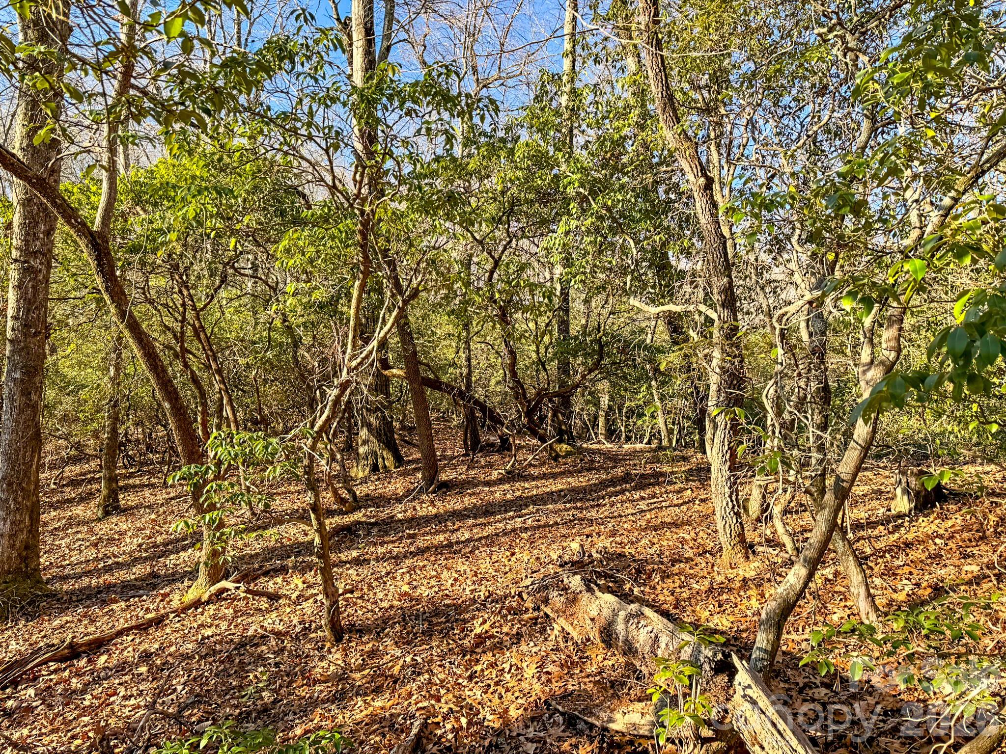 main property photo 31