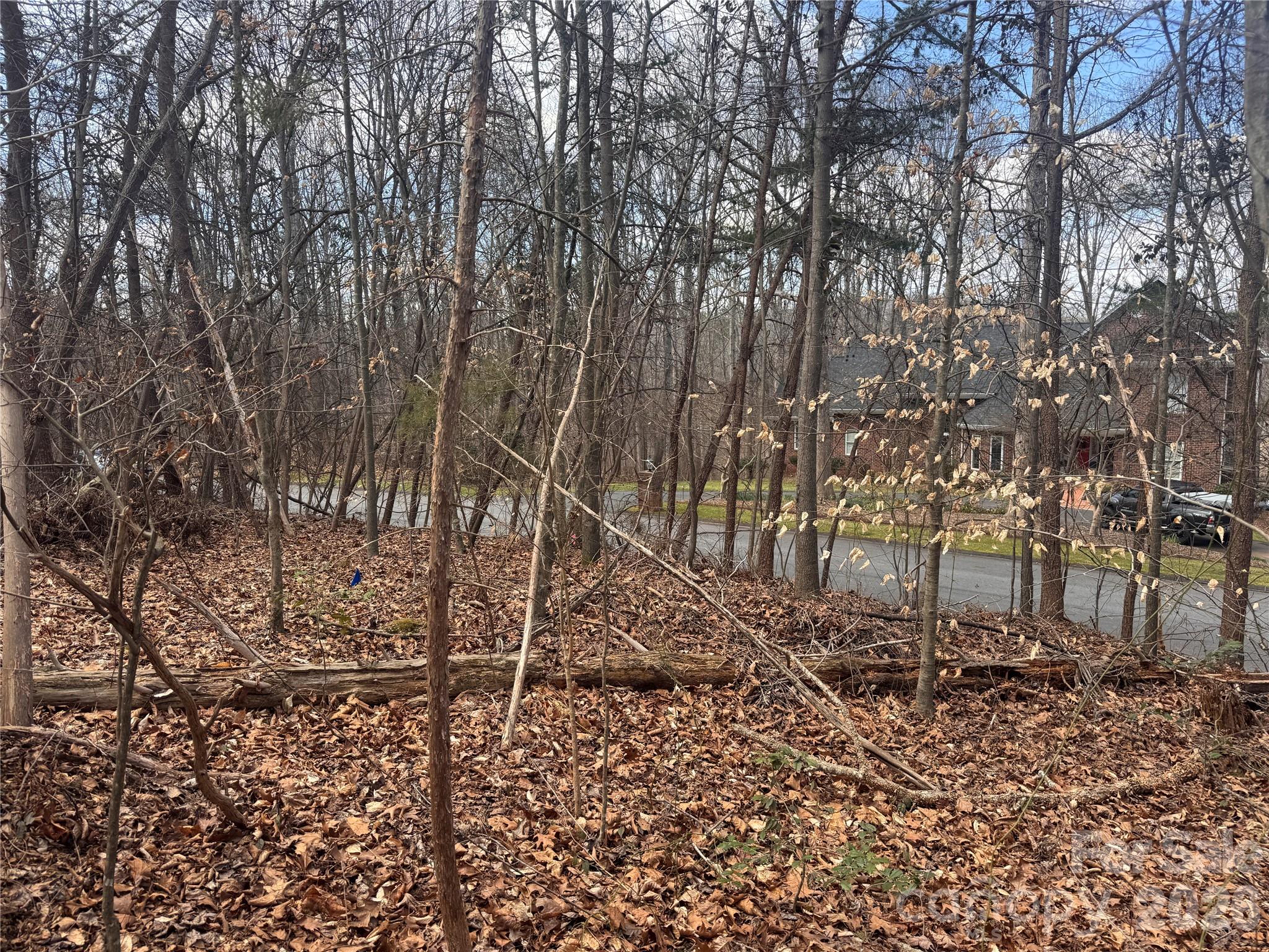 main property photo 18