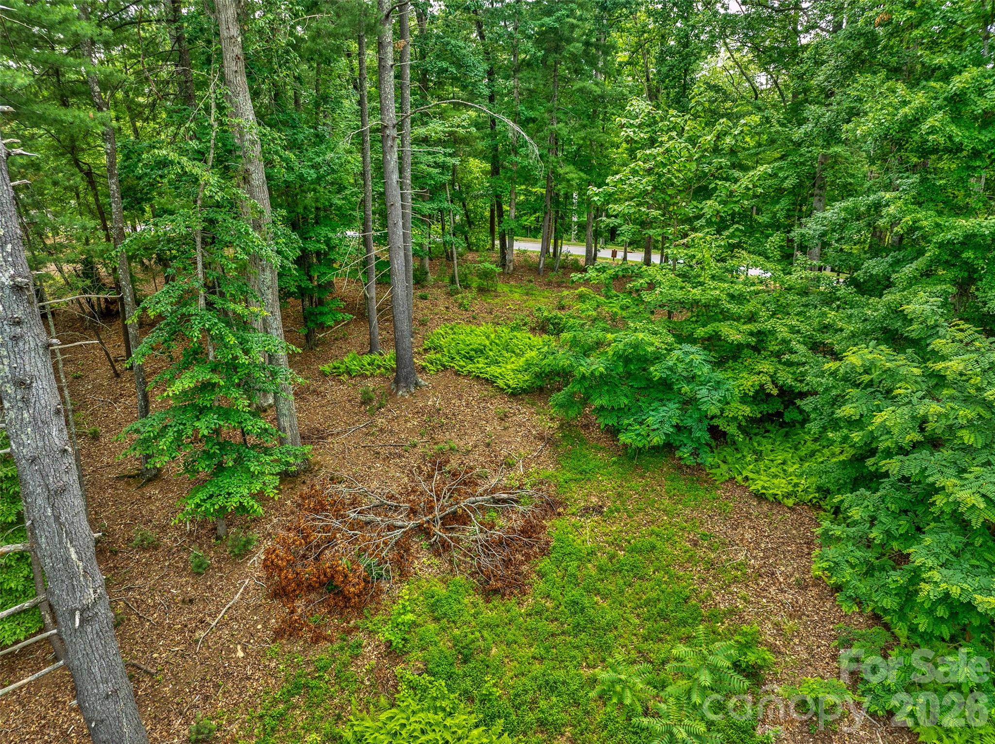 main property photo 10
