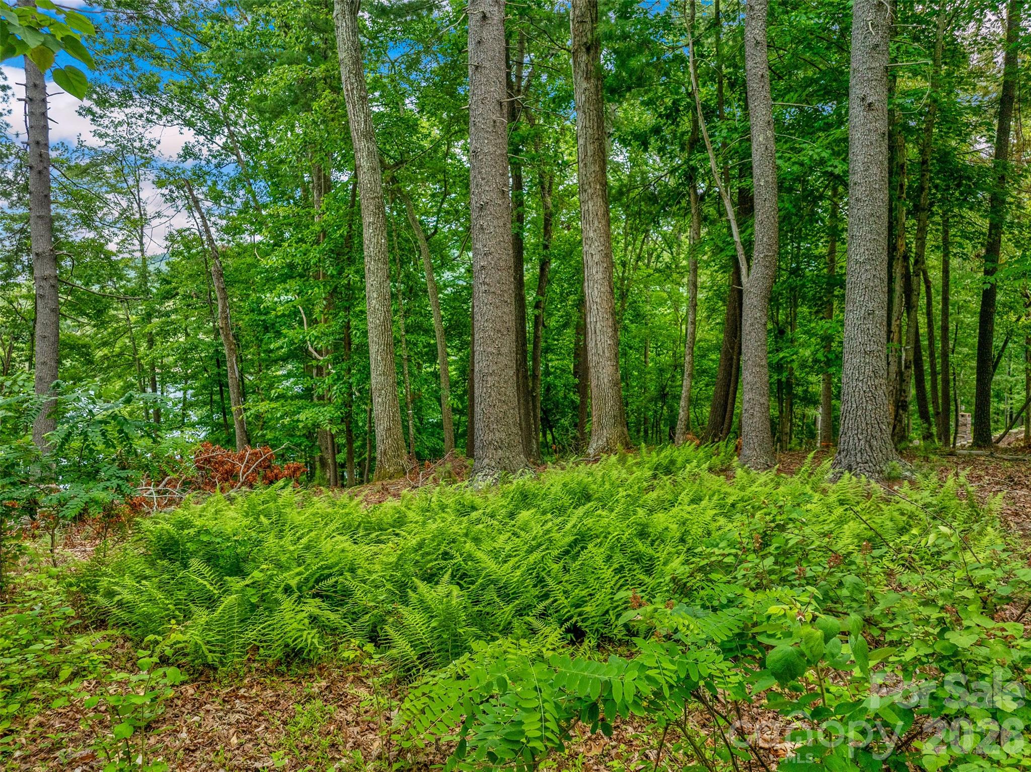 main property photo 11
