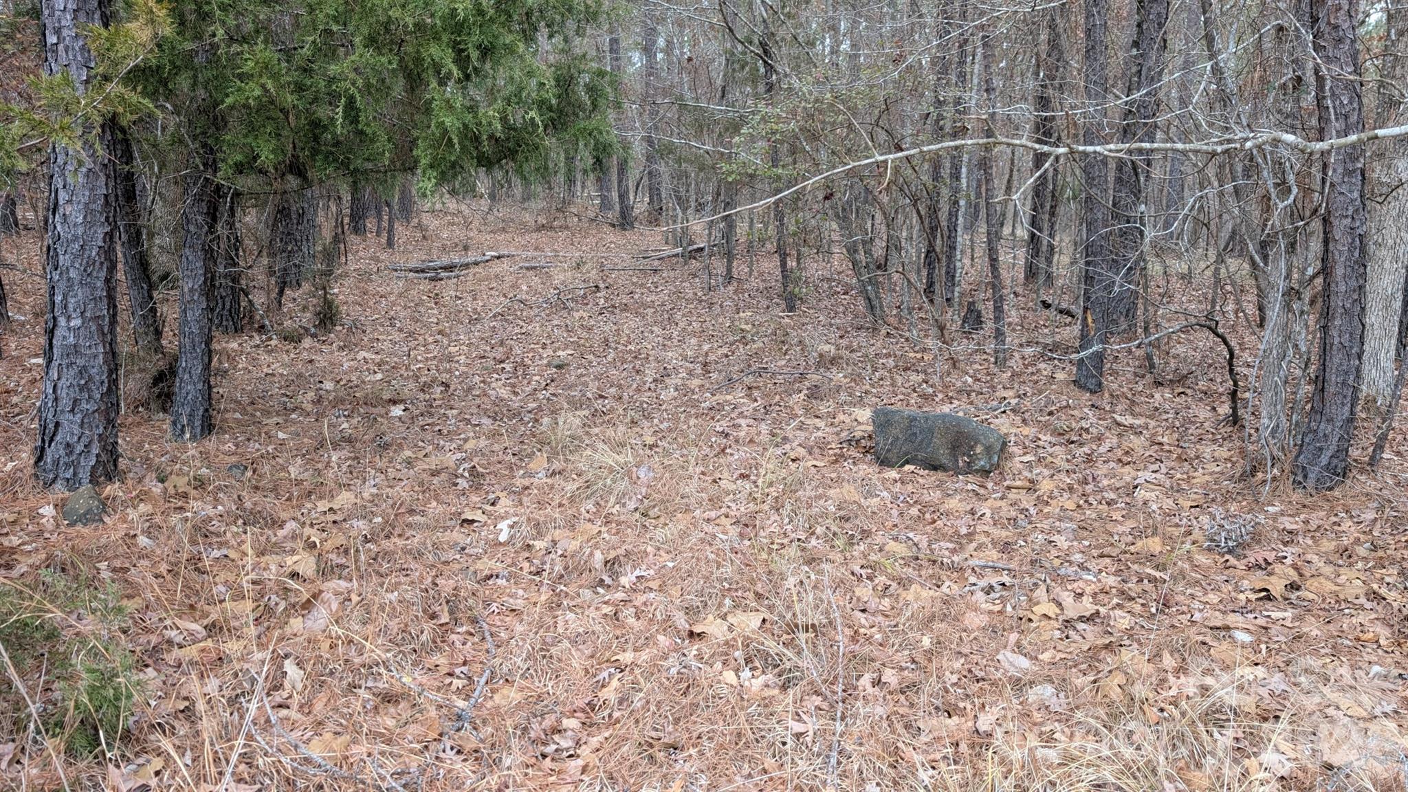 main property photo 17