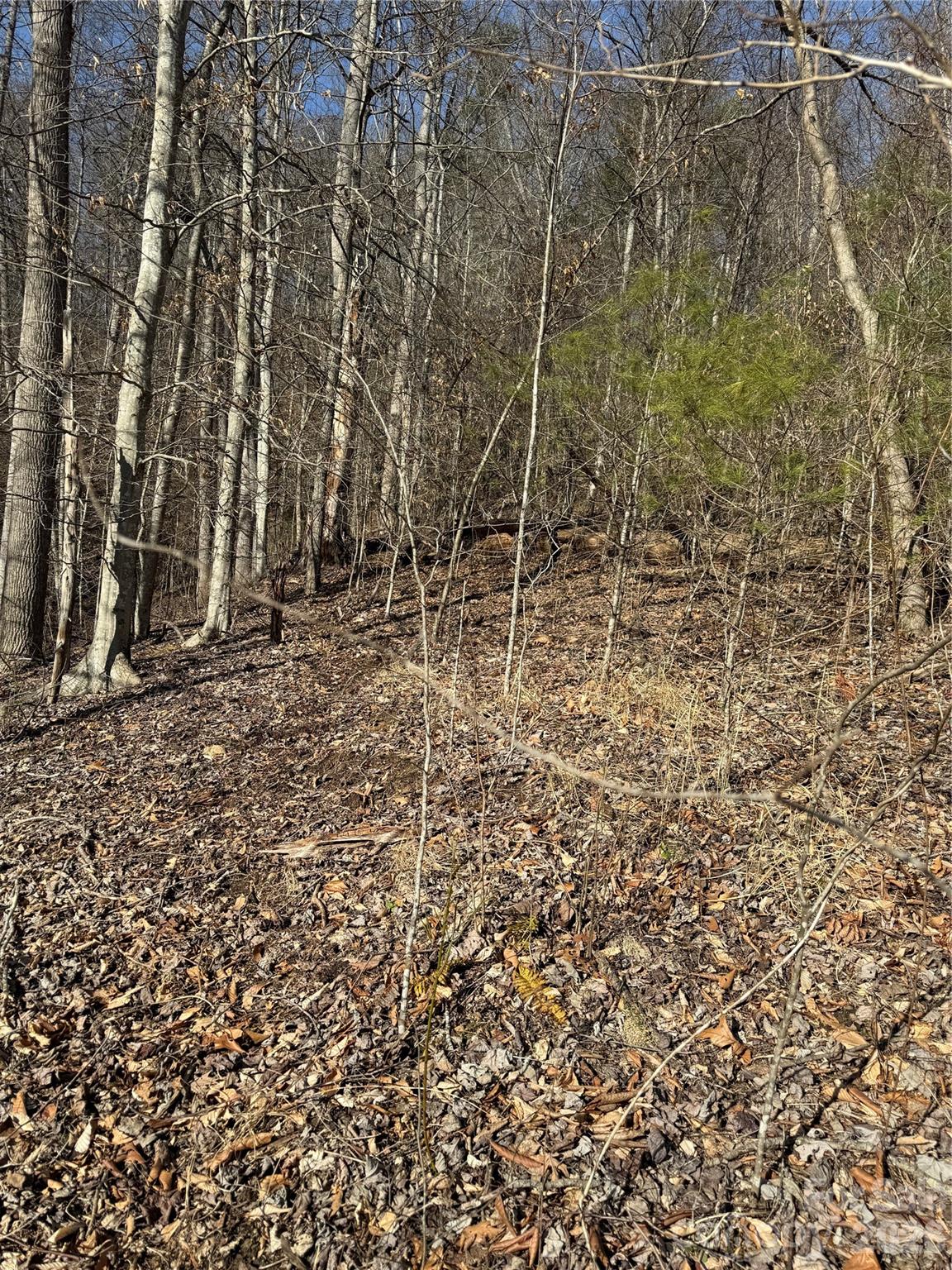 main property photo 12