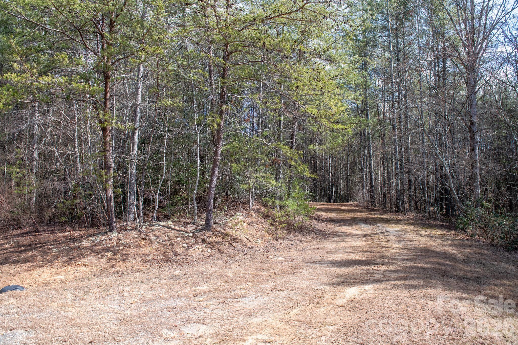 property viewer photo 3