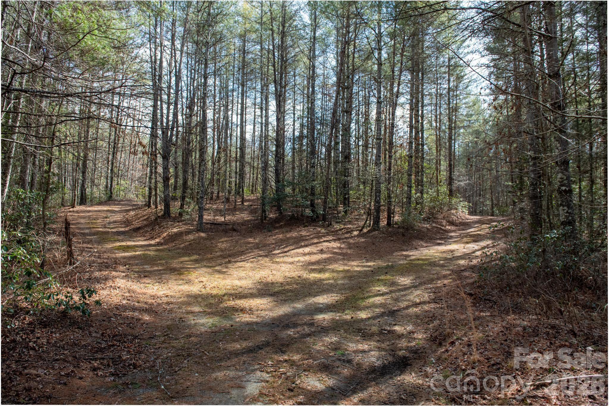 property viewer photo 7