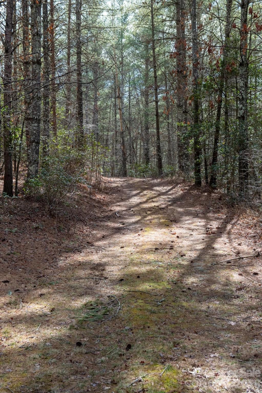 property viewer photo 8