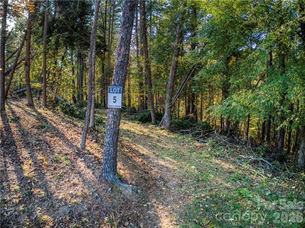 main property photo 7