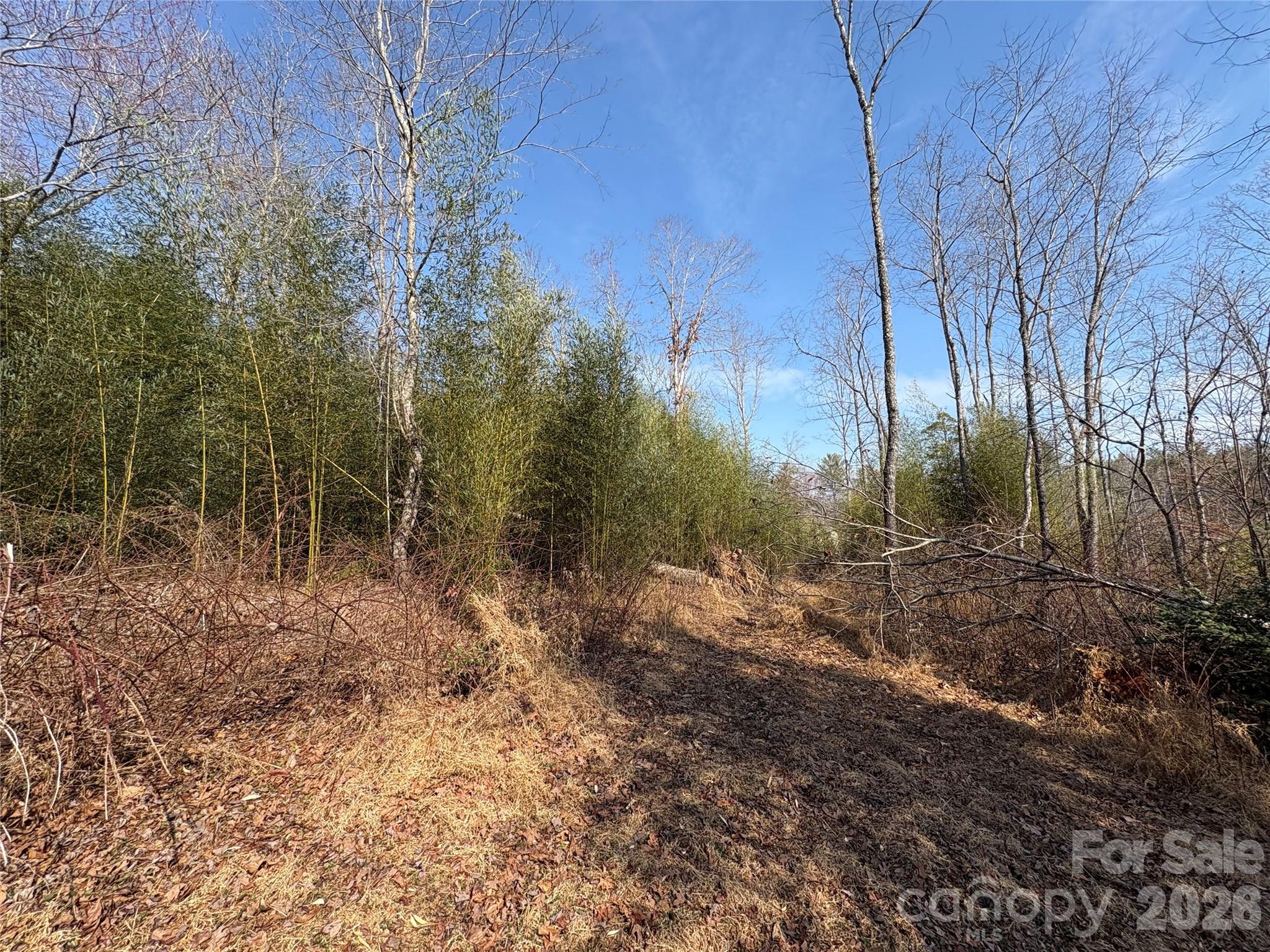 main property photo 9