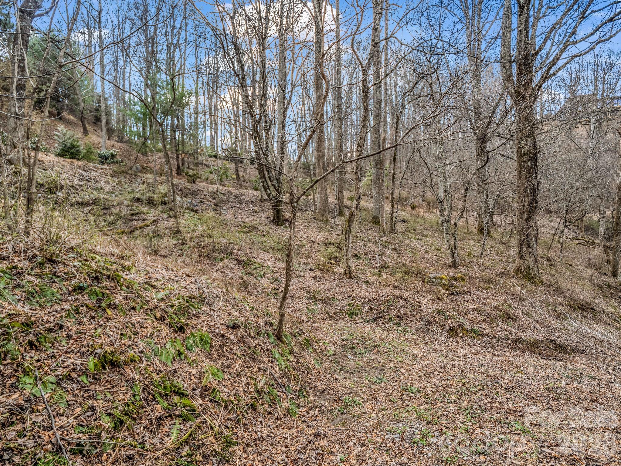 main property photo 24