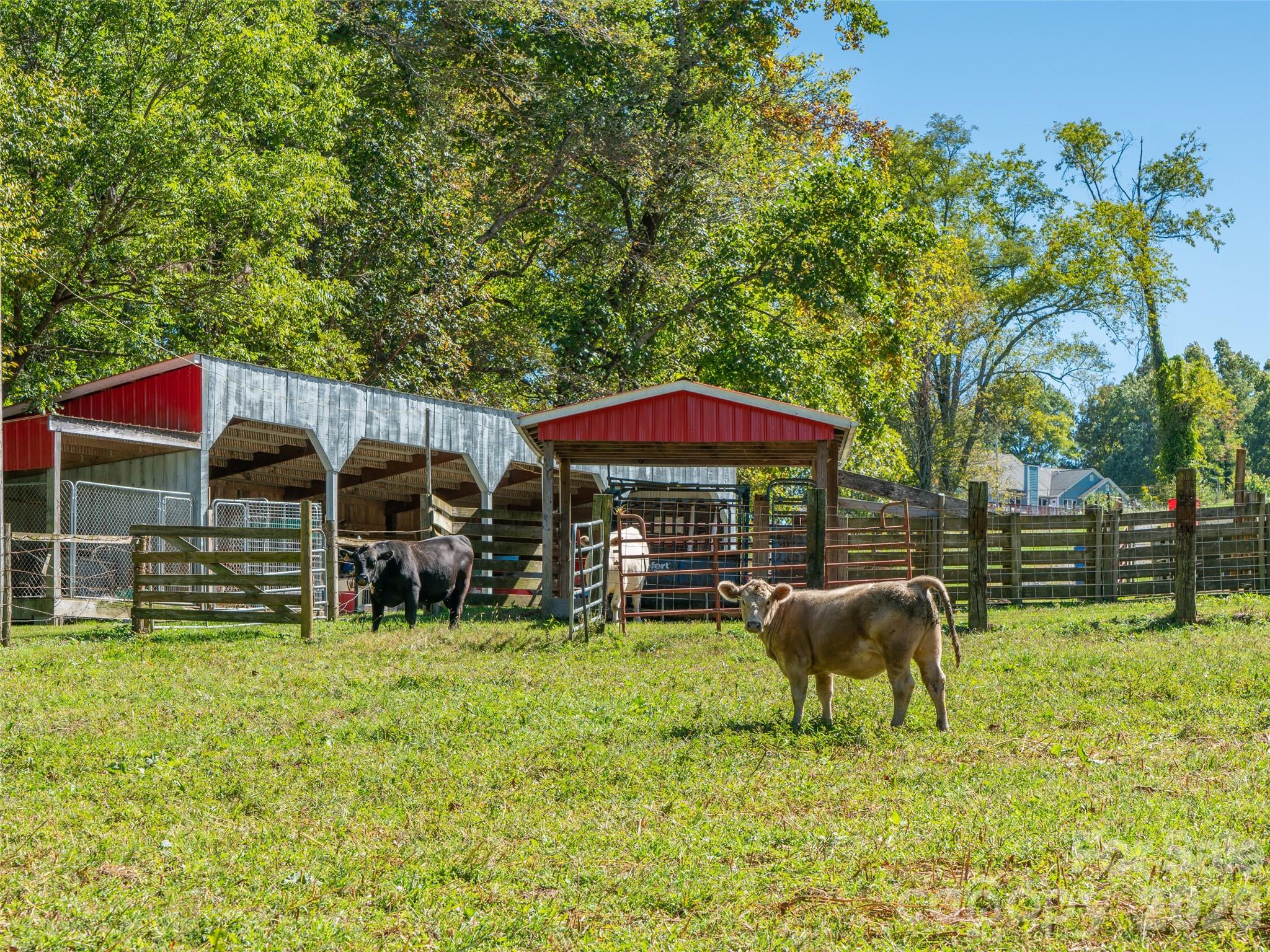 main property photo 38