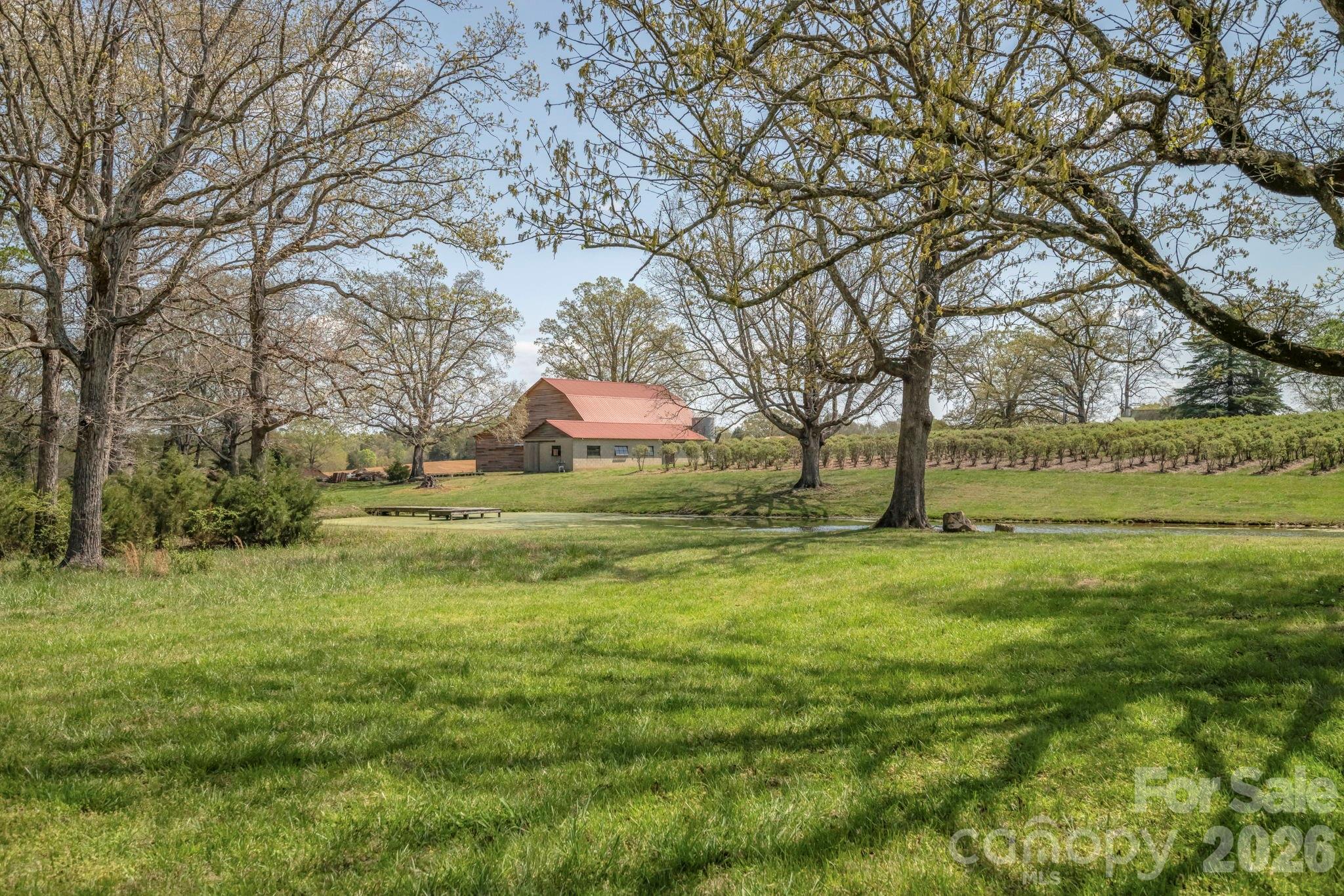 main property photo 28