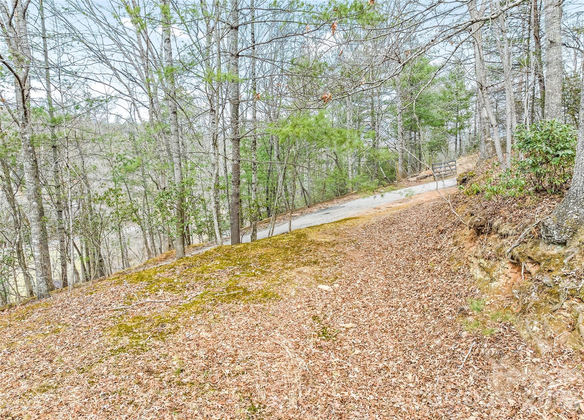 main property photo 30