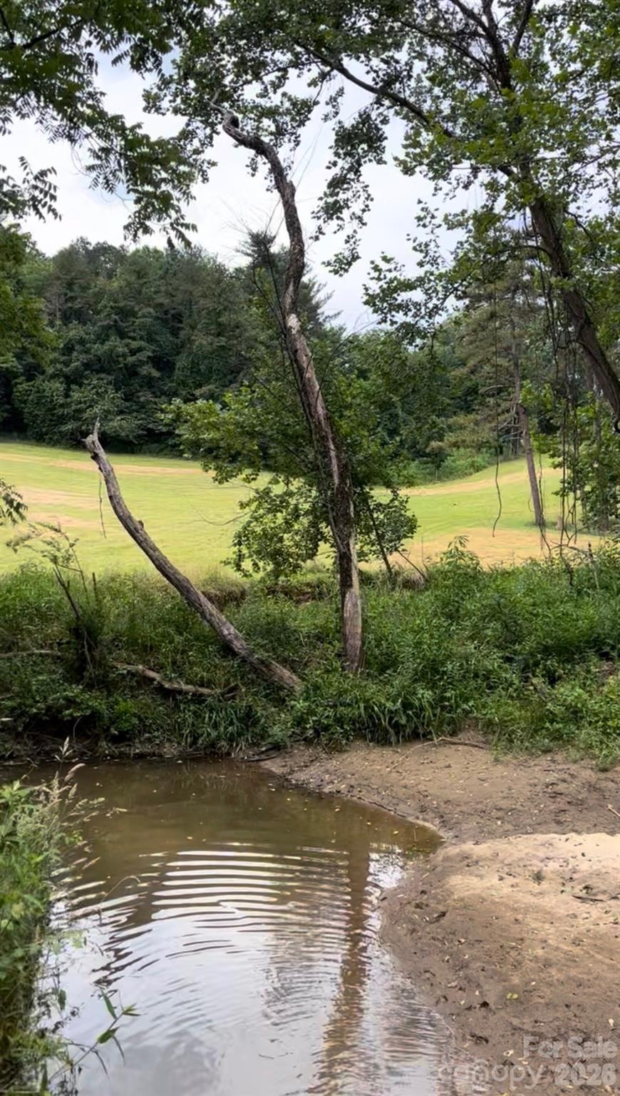main property photo 46
