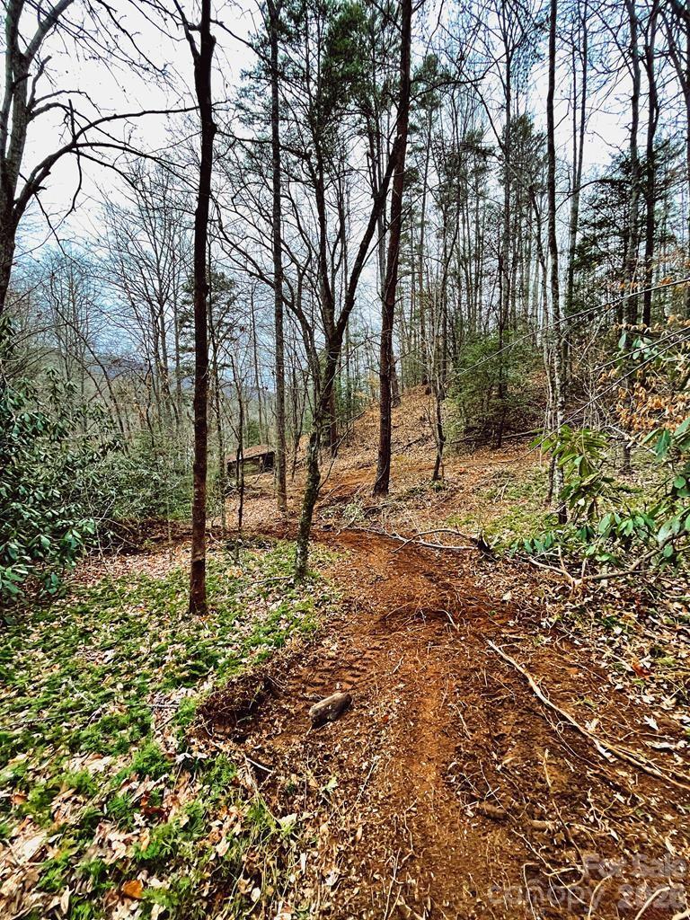main property photo 9