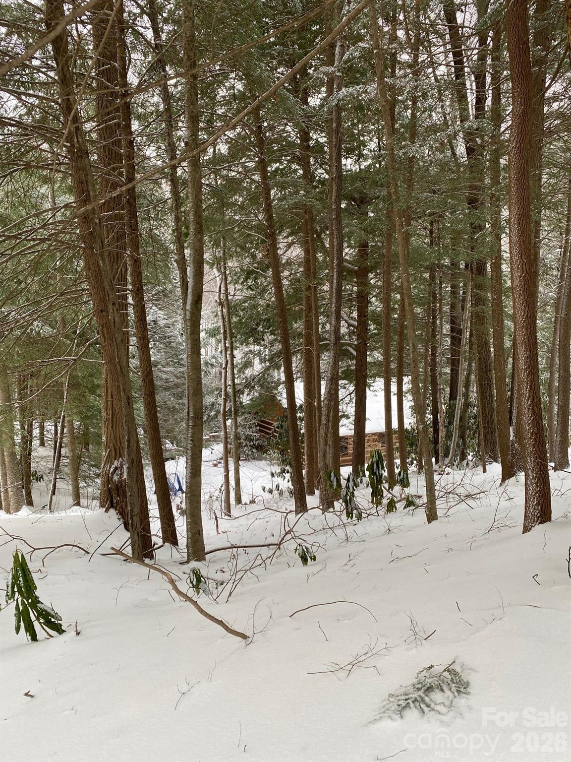 main property photo 34