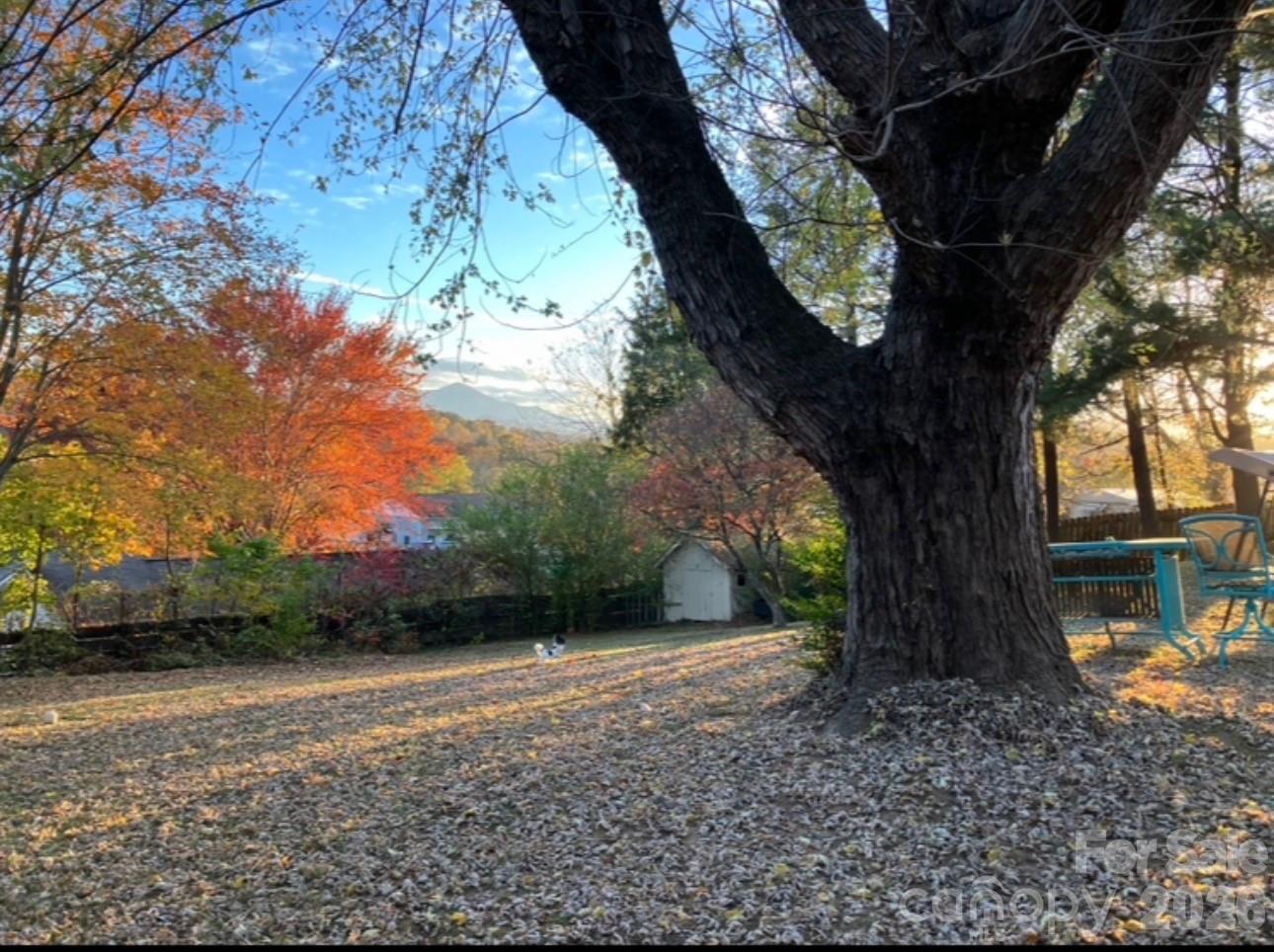 main property photo 41