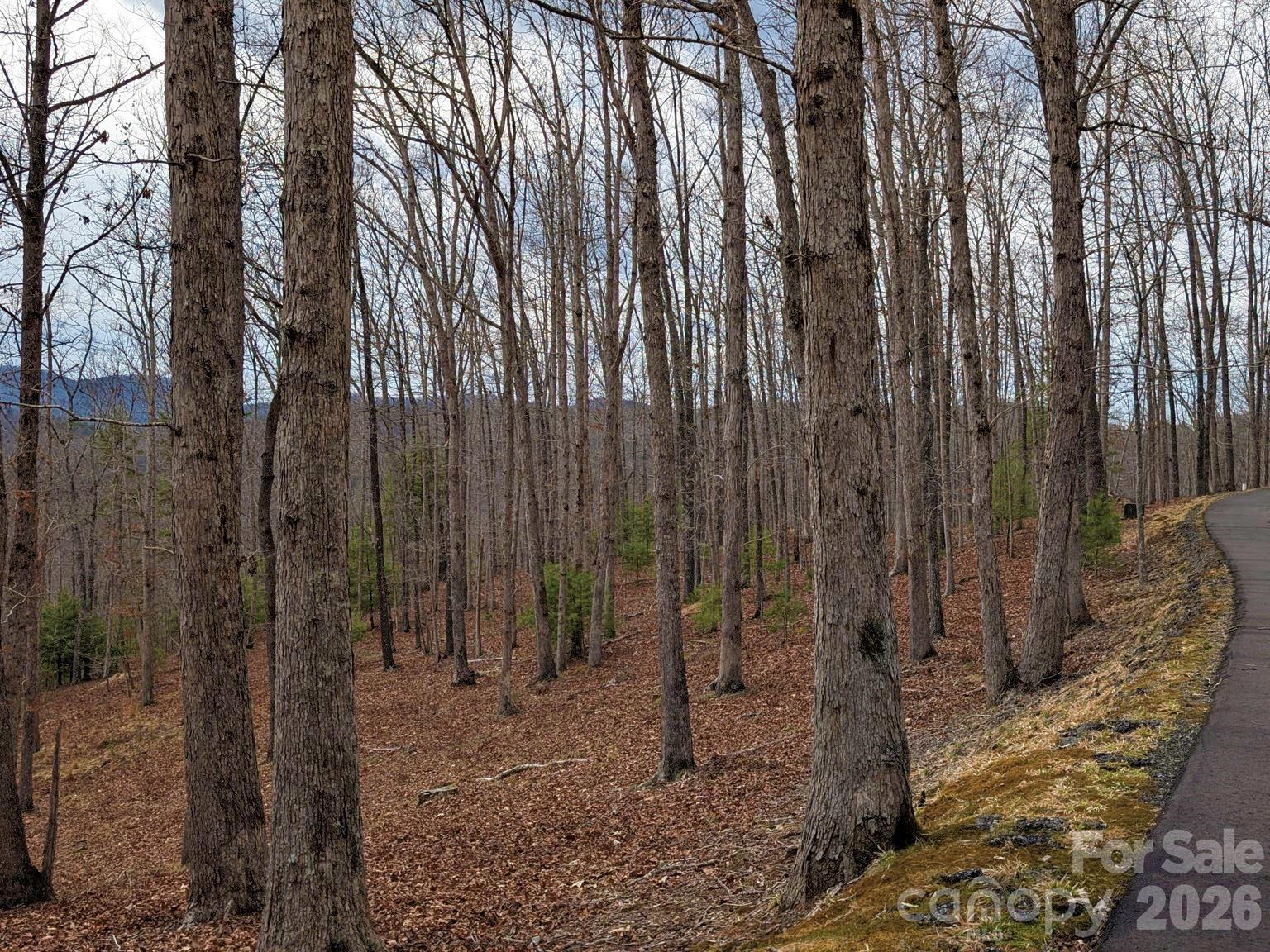 main property photo 13