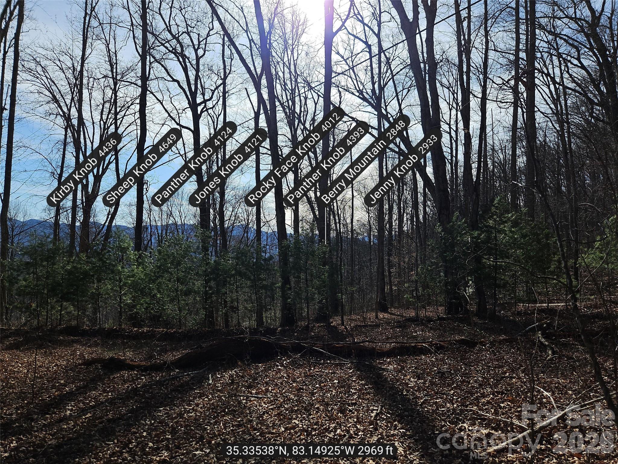main property photo 8