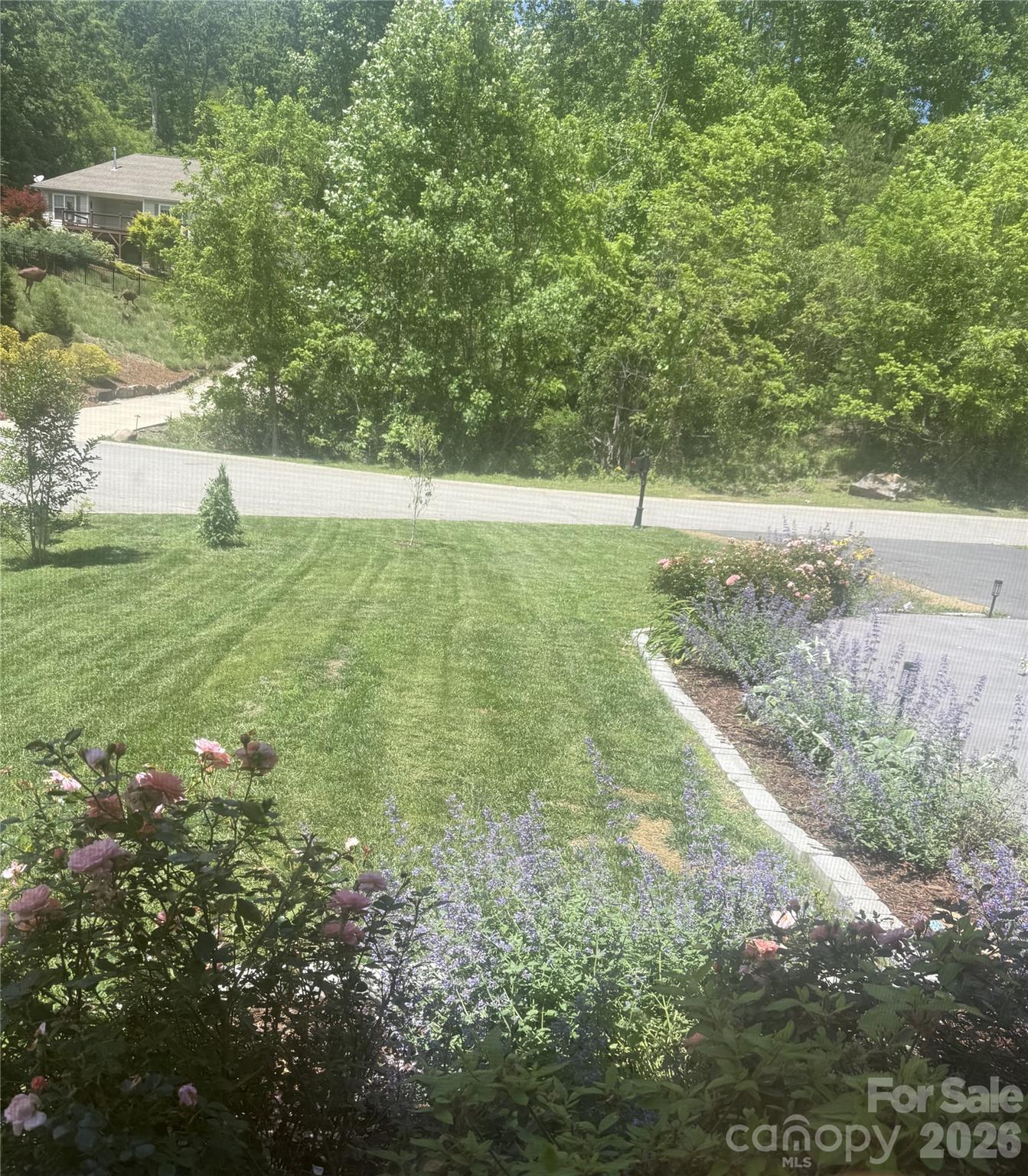 main property photo 31