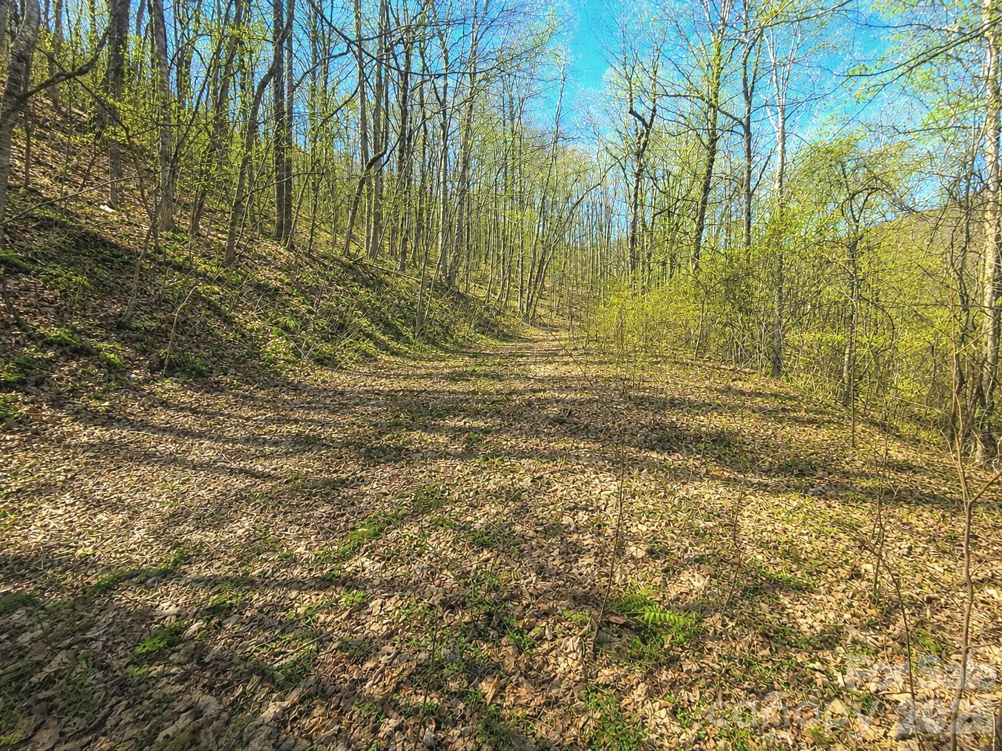 main property photo 11