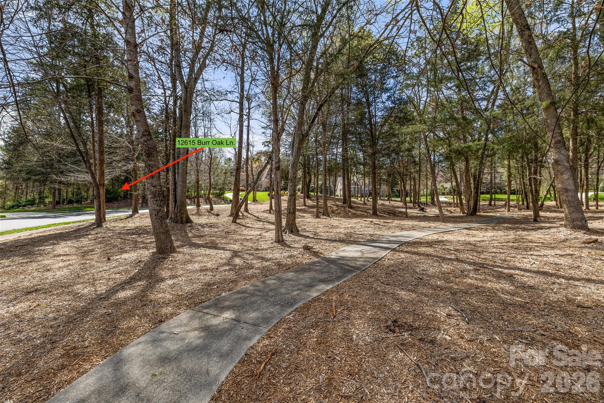 main property photo 6