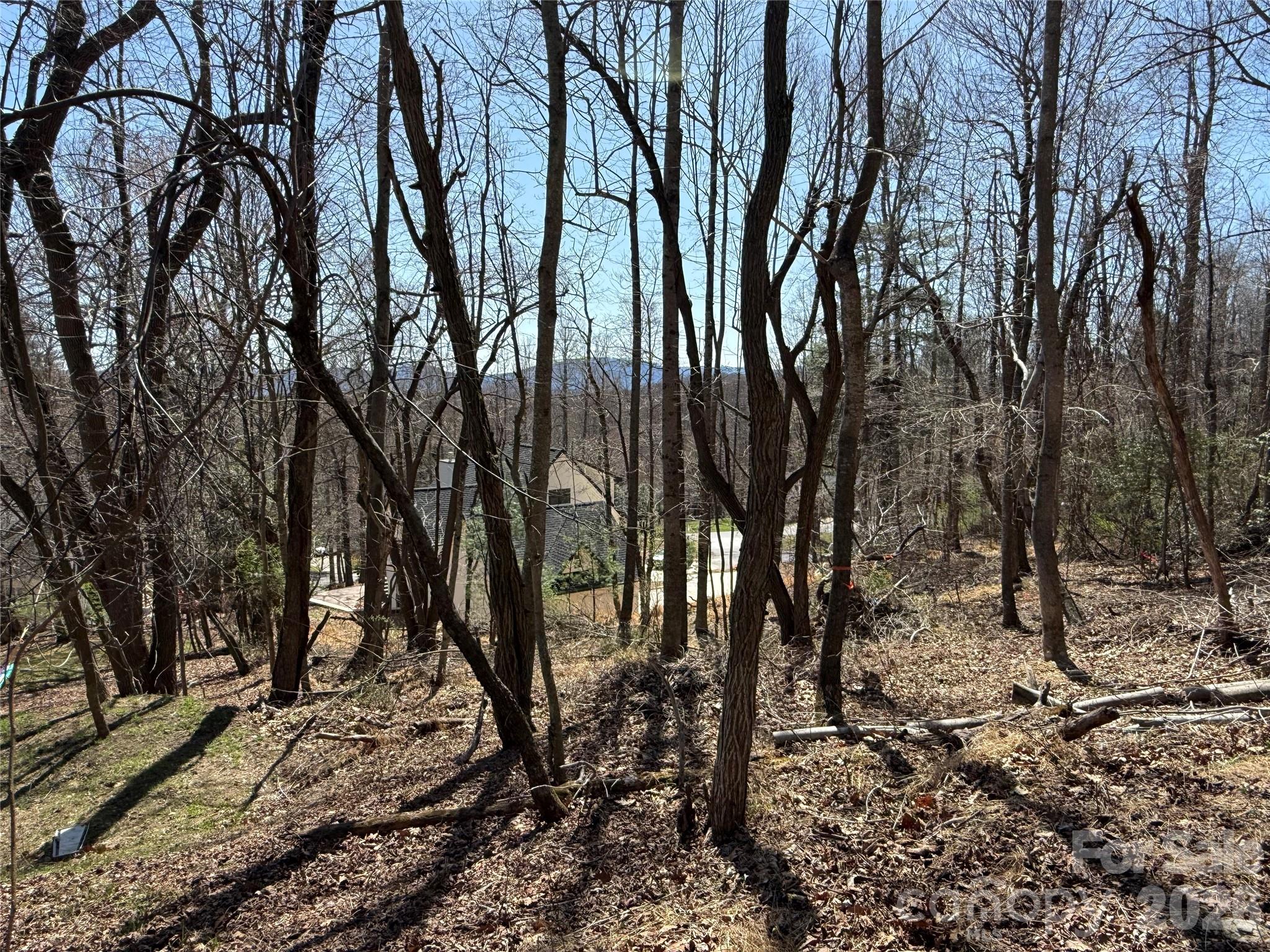 main property photo 12