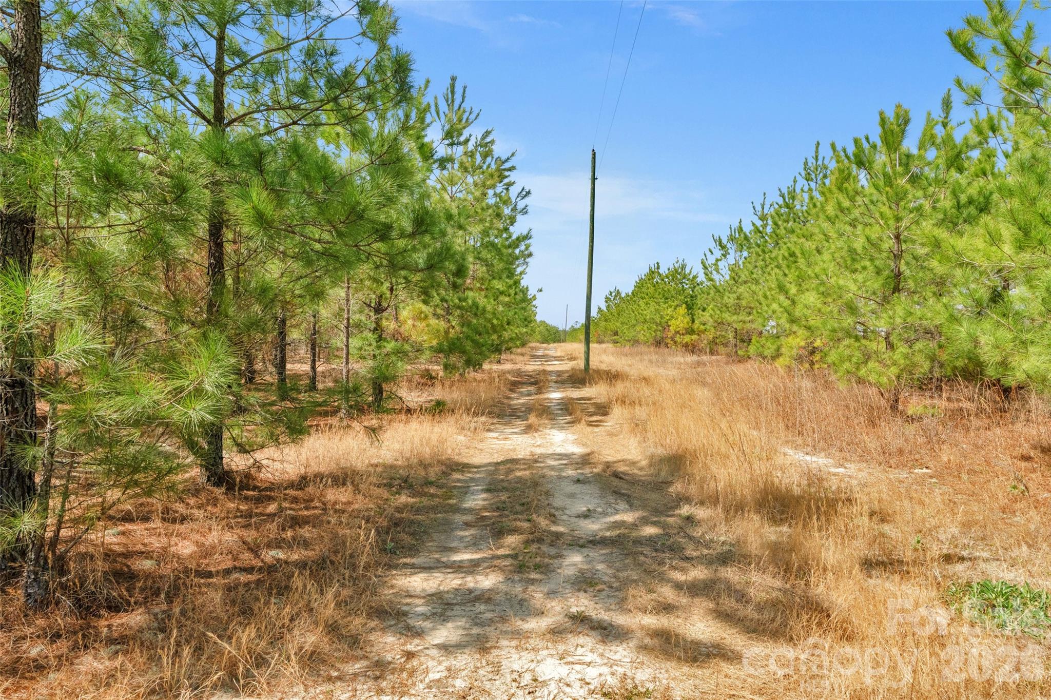 main property photo 10
