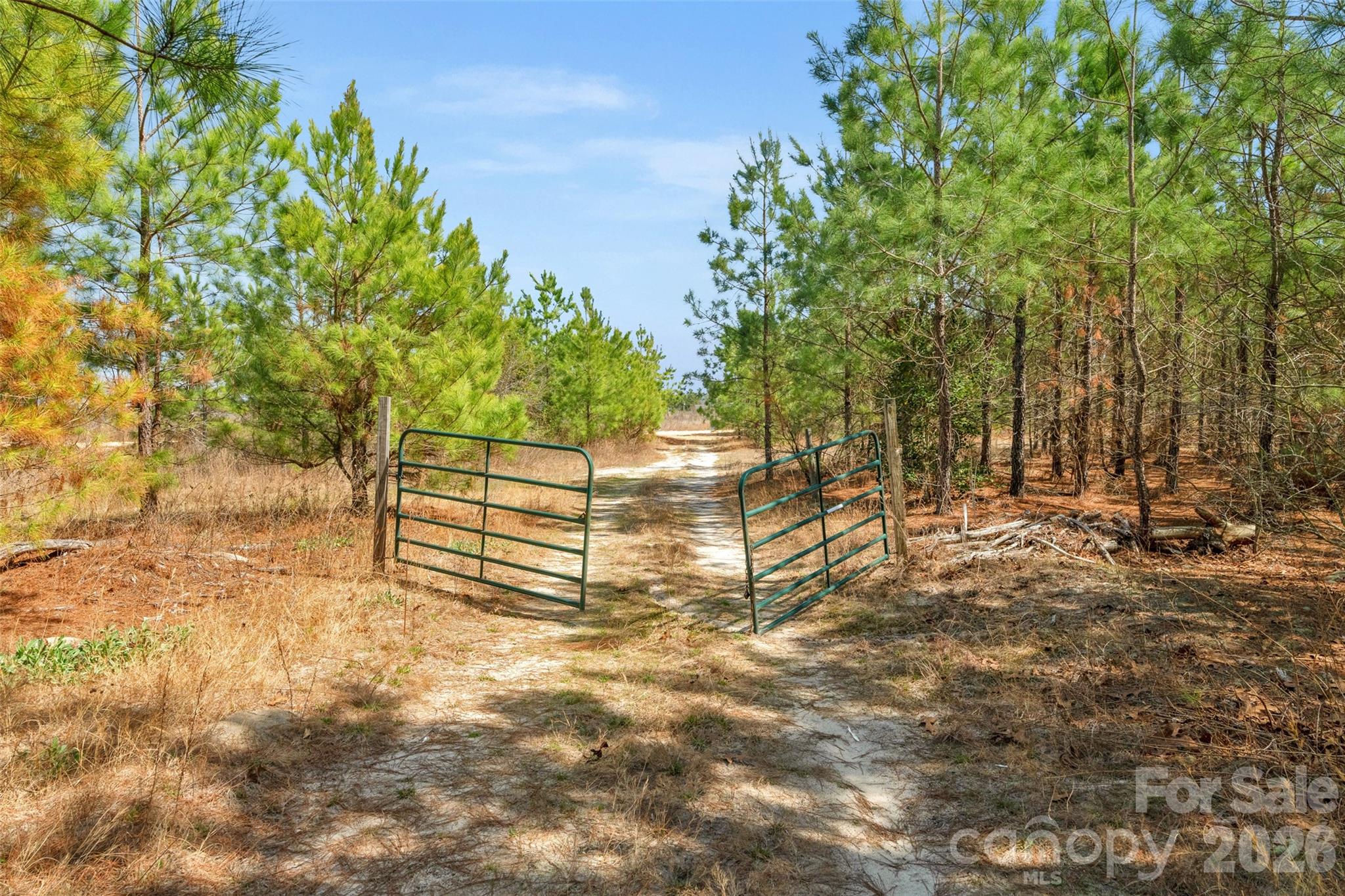 main property photo 12