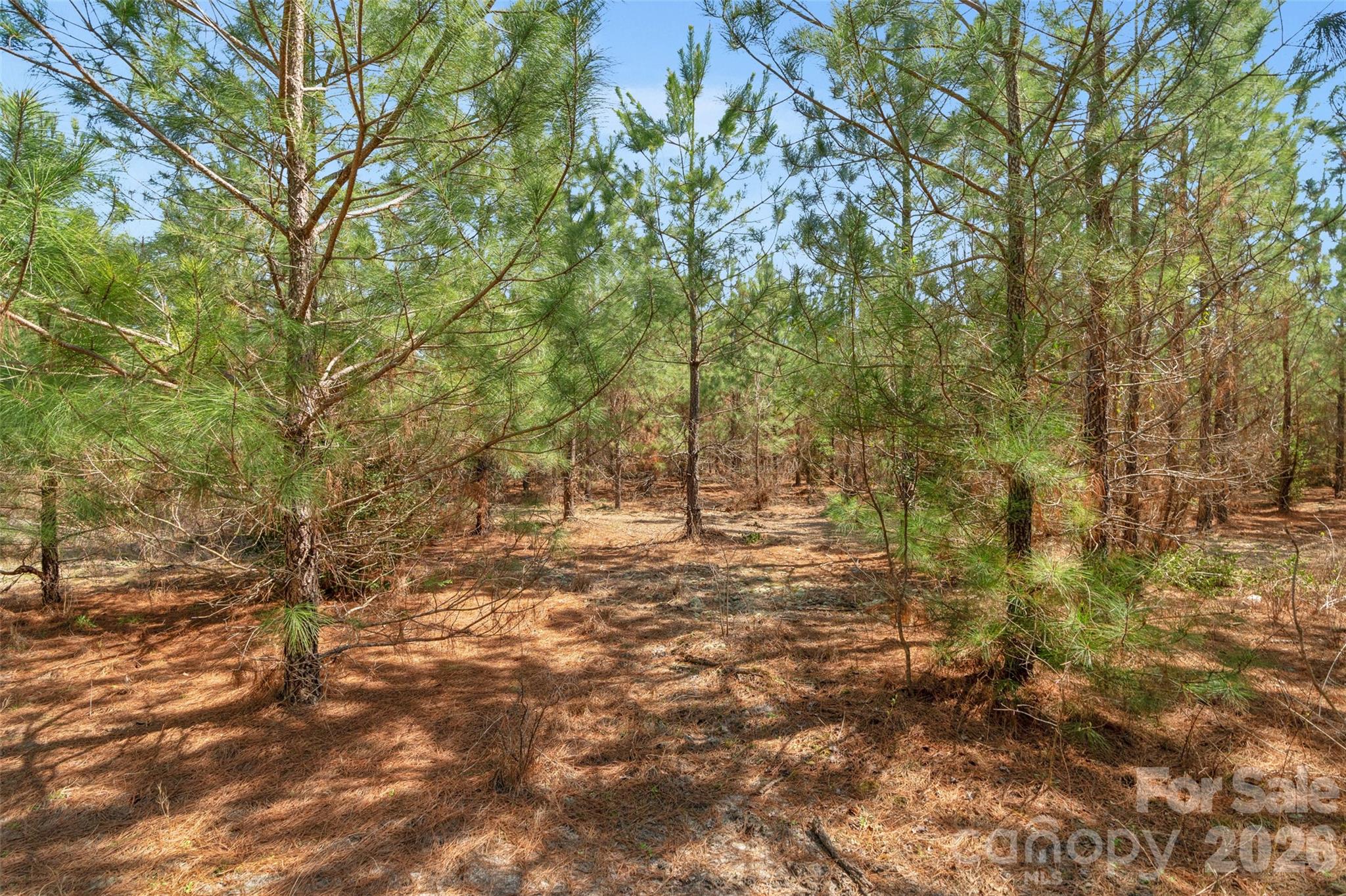 main property photo 31