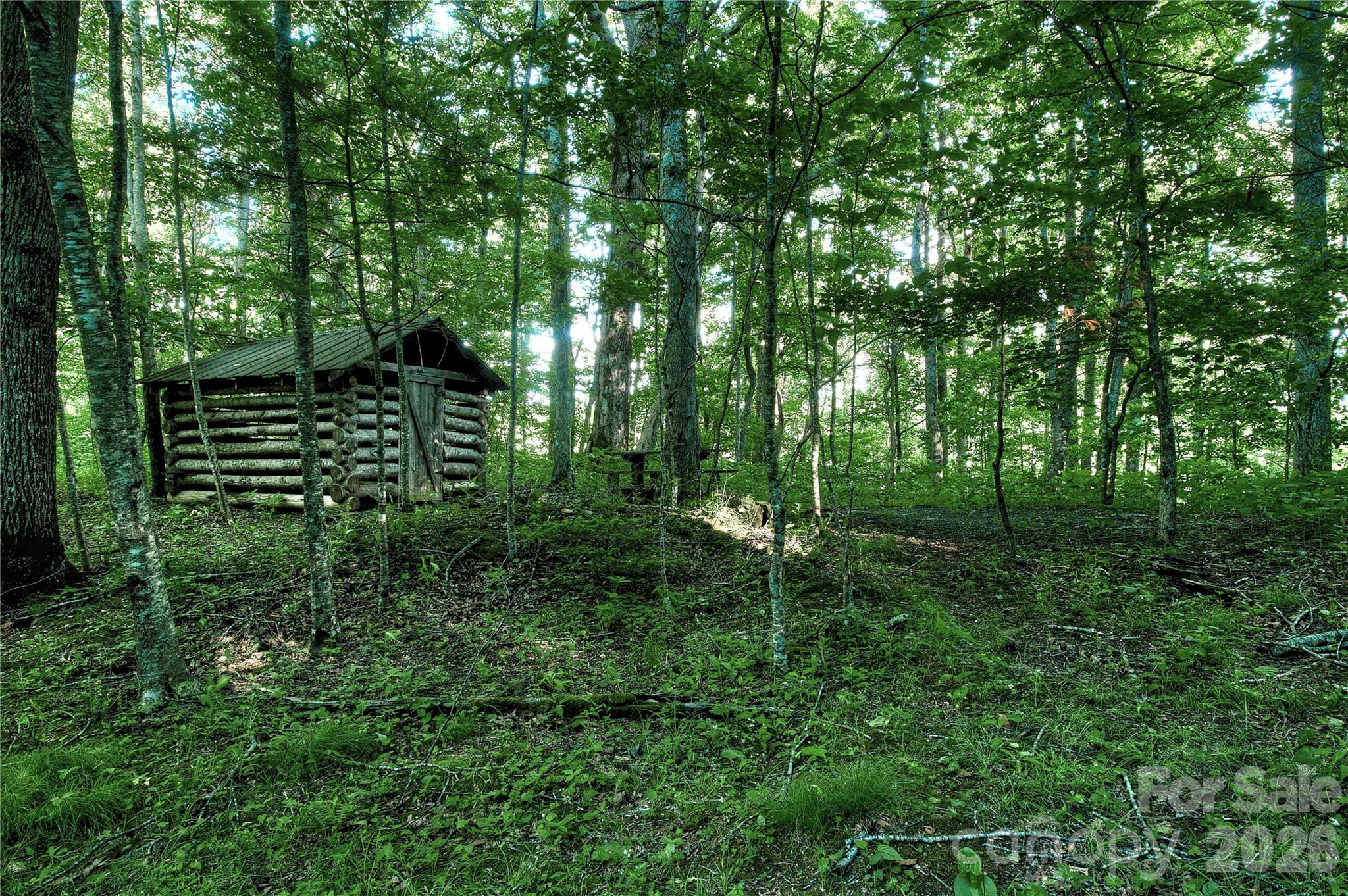 main property photo 11