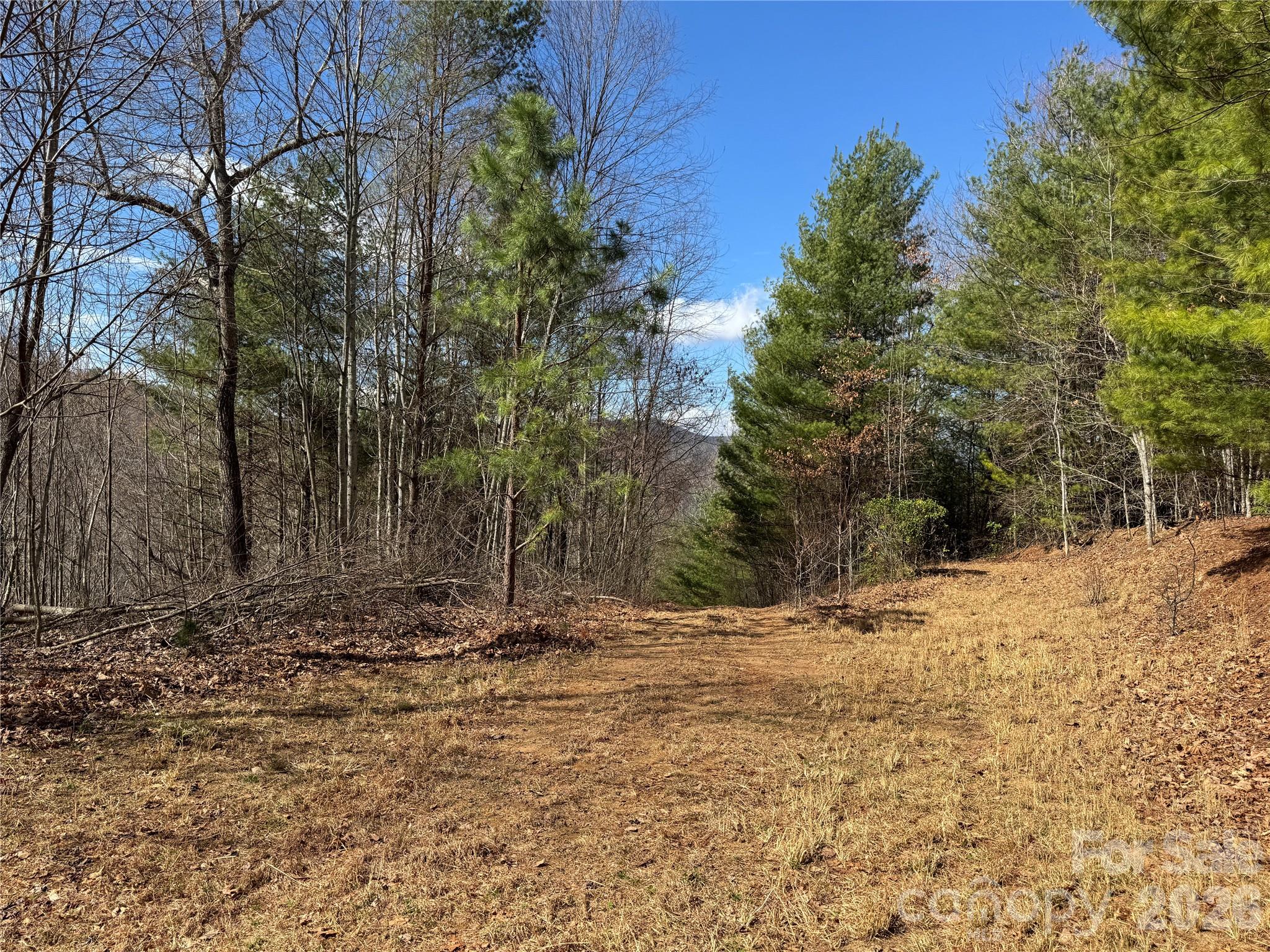 main property photo 26