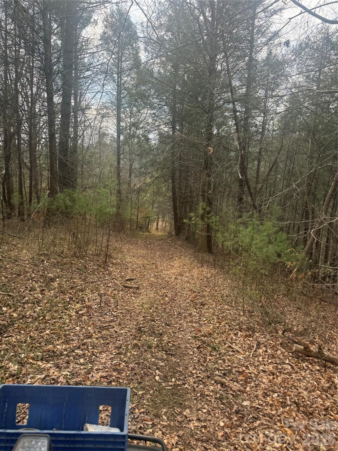 property viewer photo 17
