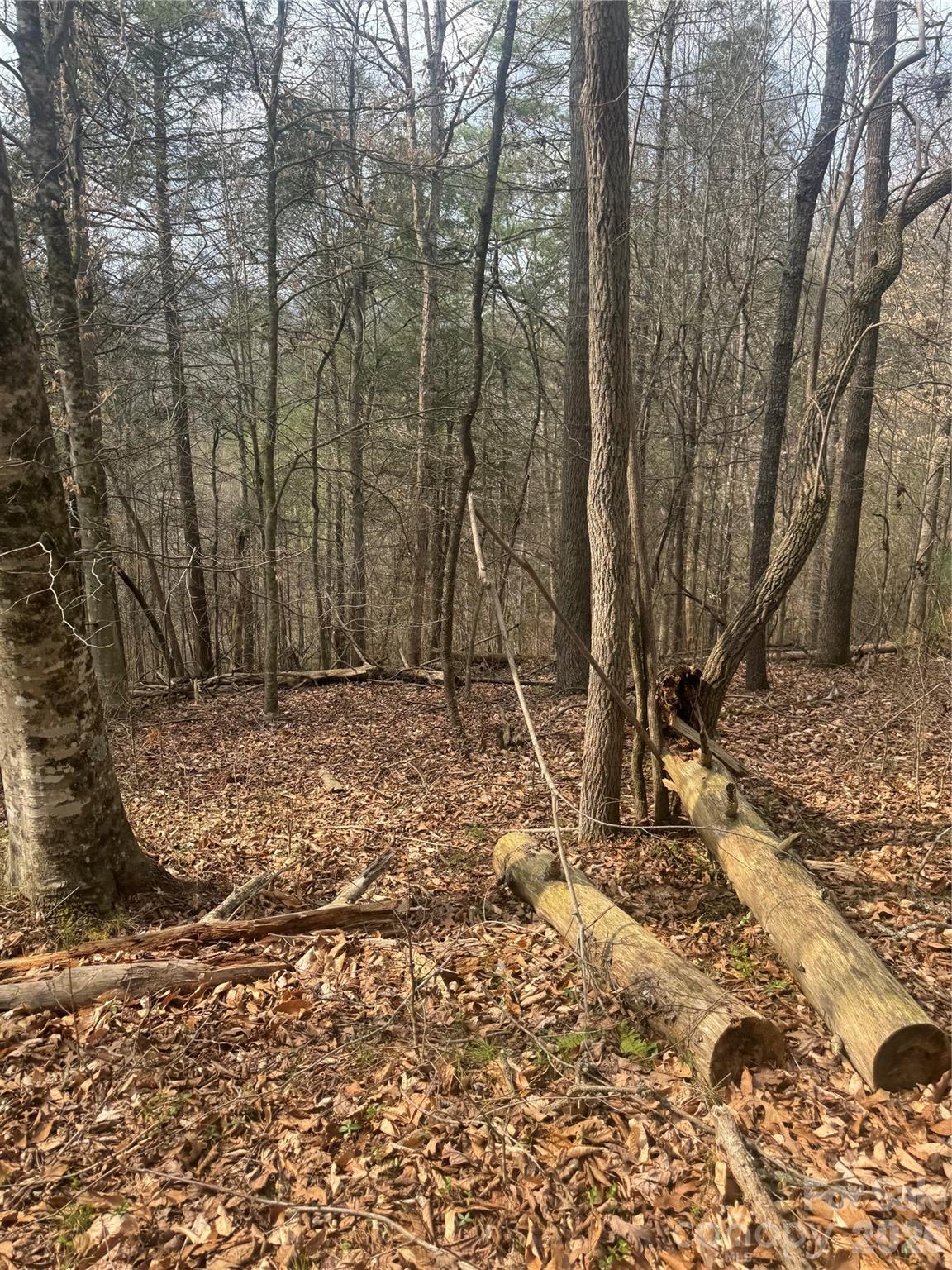 property viewer photo 18