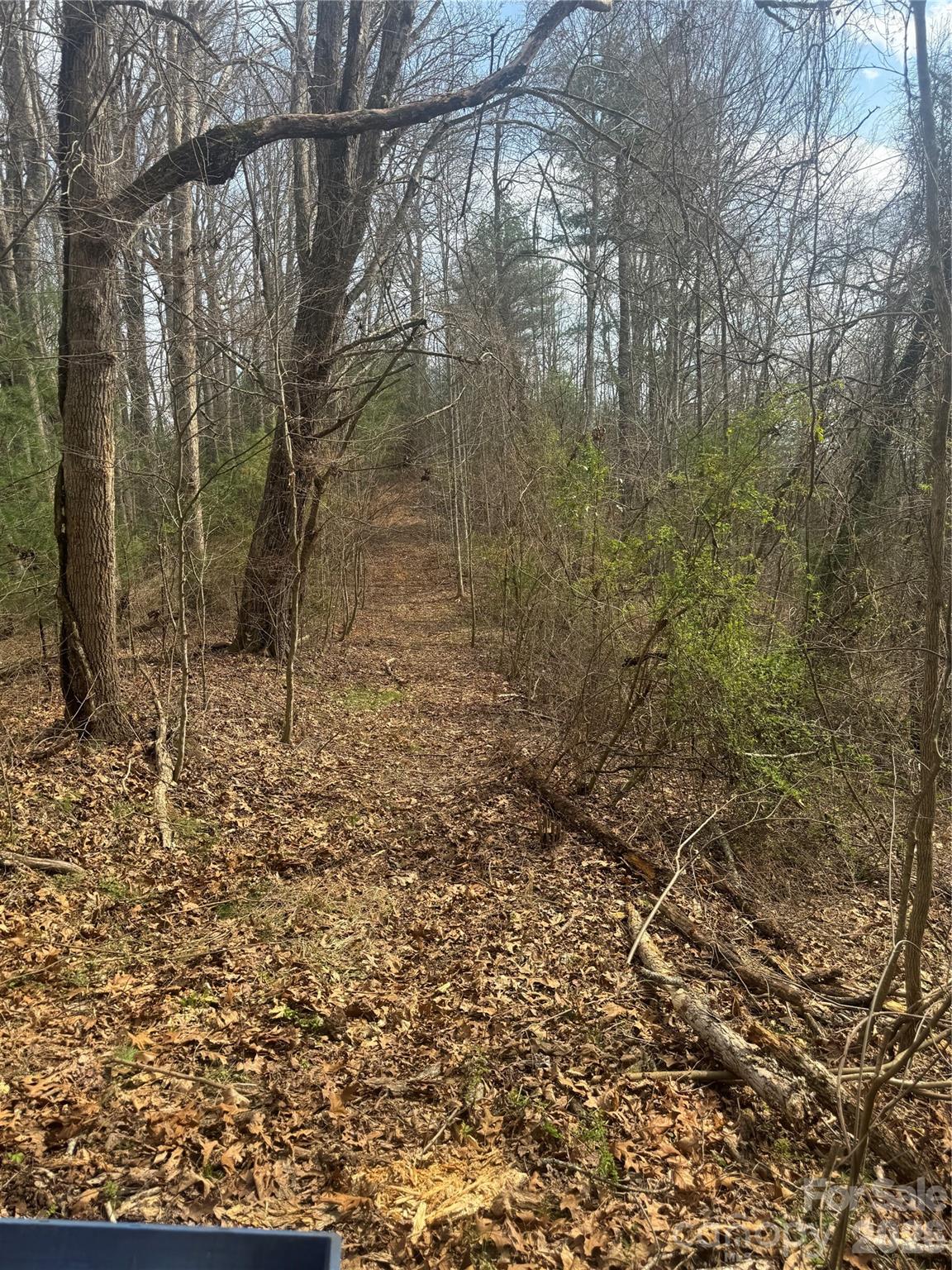 property viewer photo 19