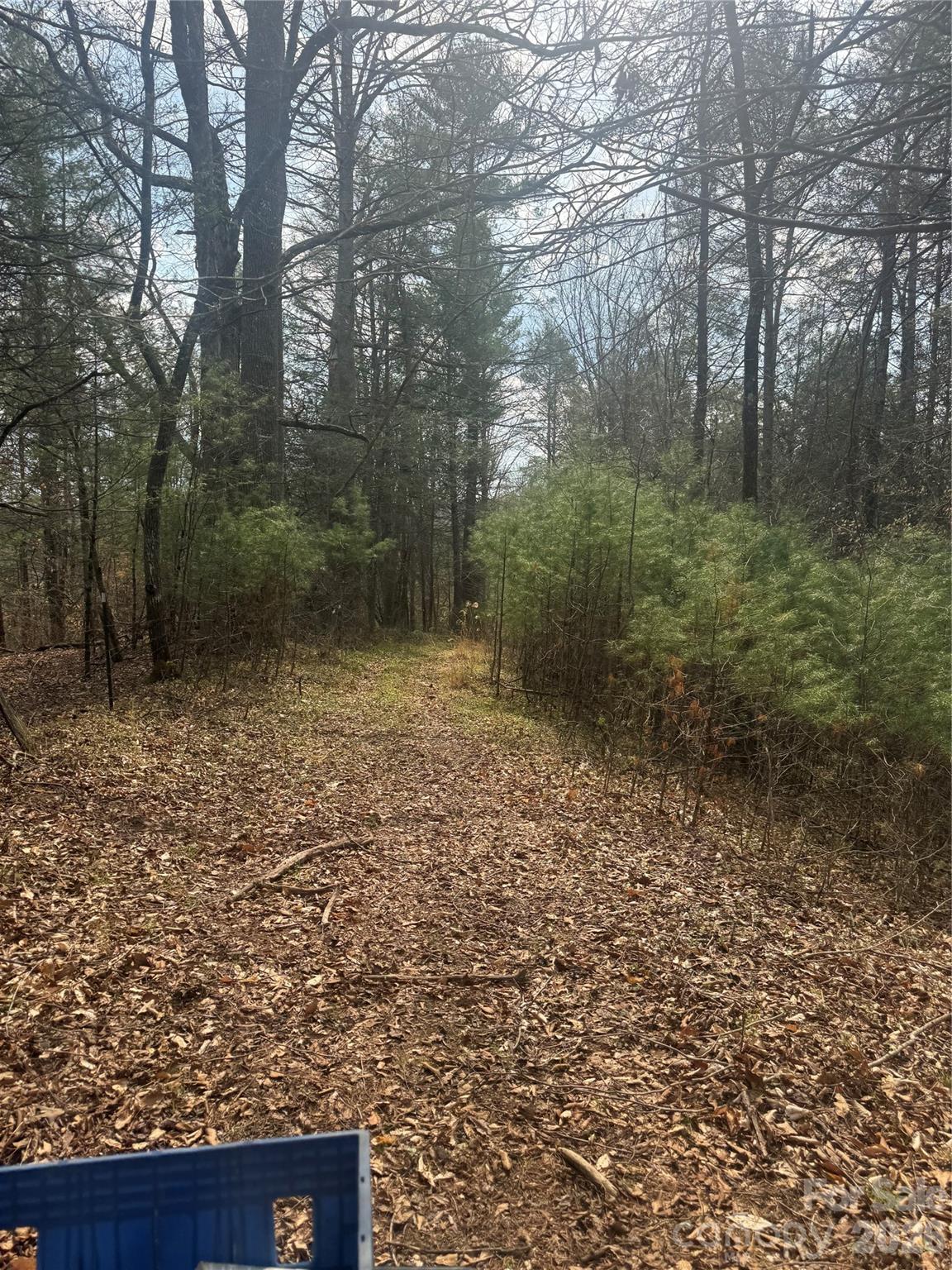 property viewer photo 21