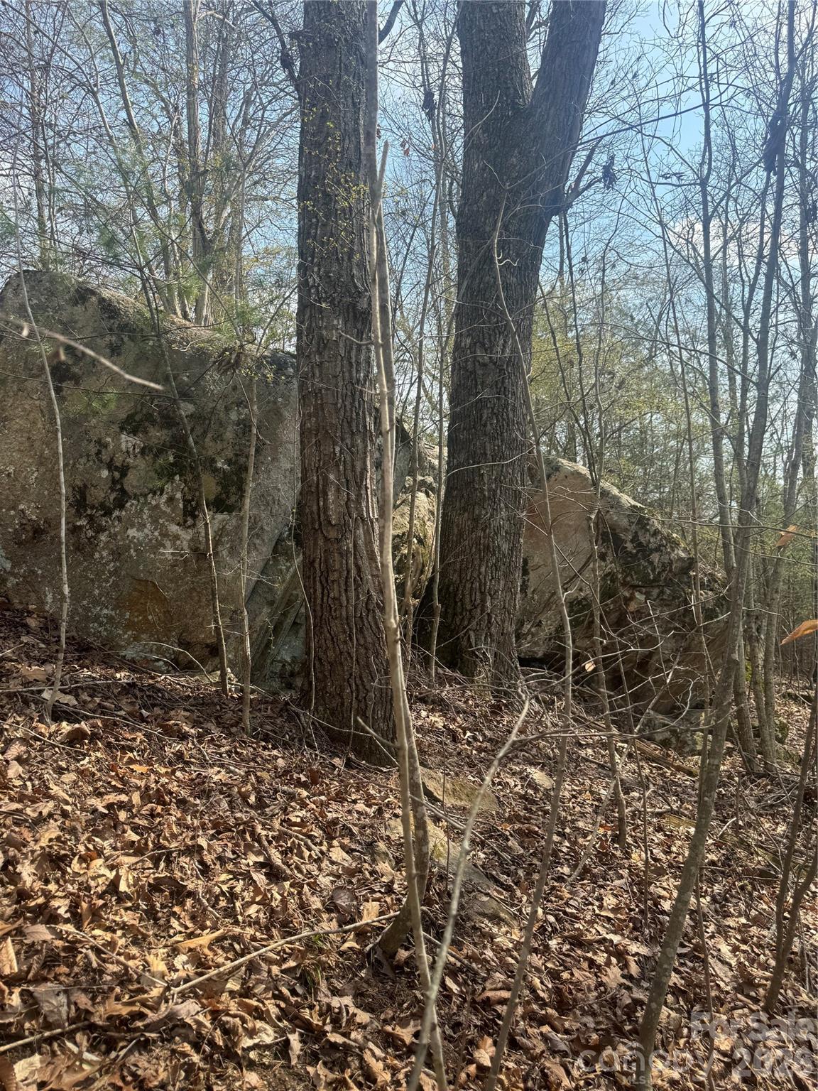 property viewer photo 22