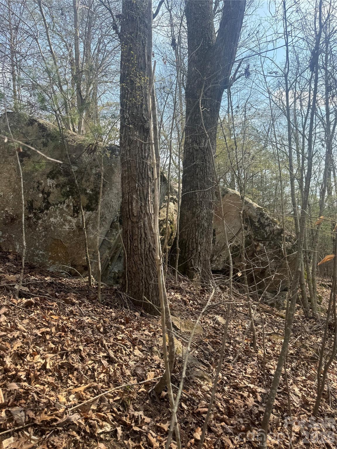 property viewer photo 23