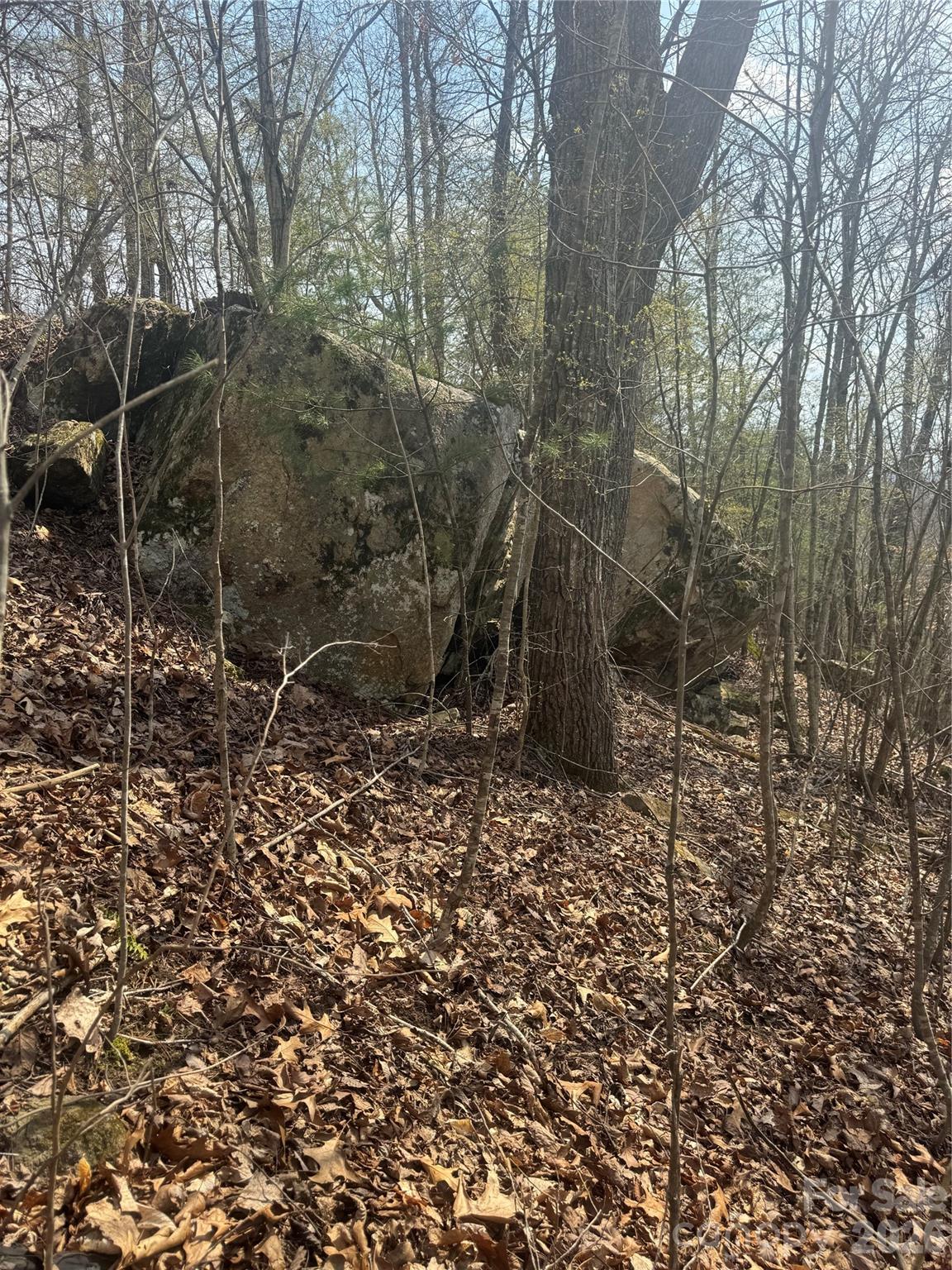 property viewer photo 24