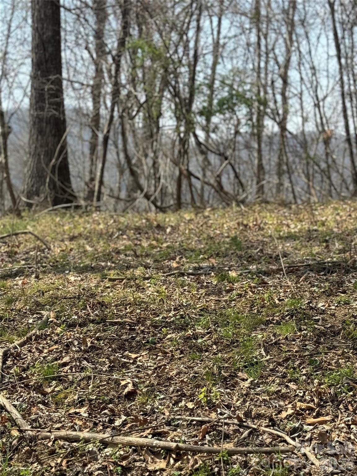 property viewer photo 25