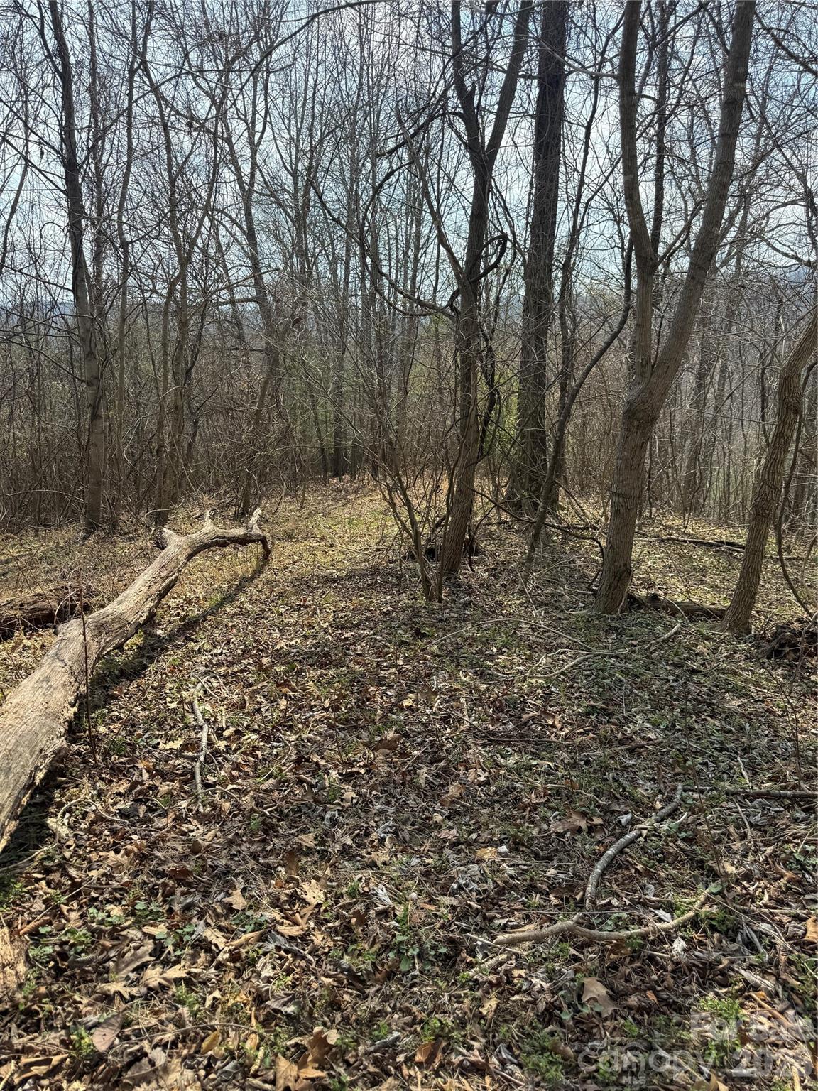 property viewer photo 26