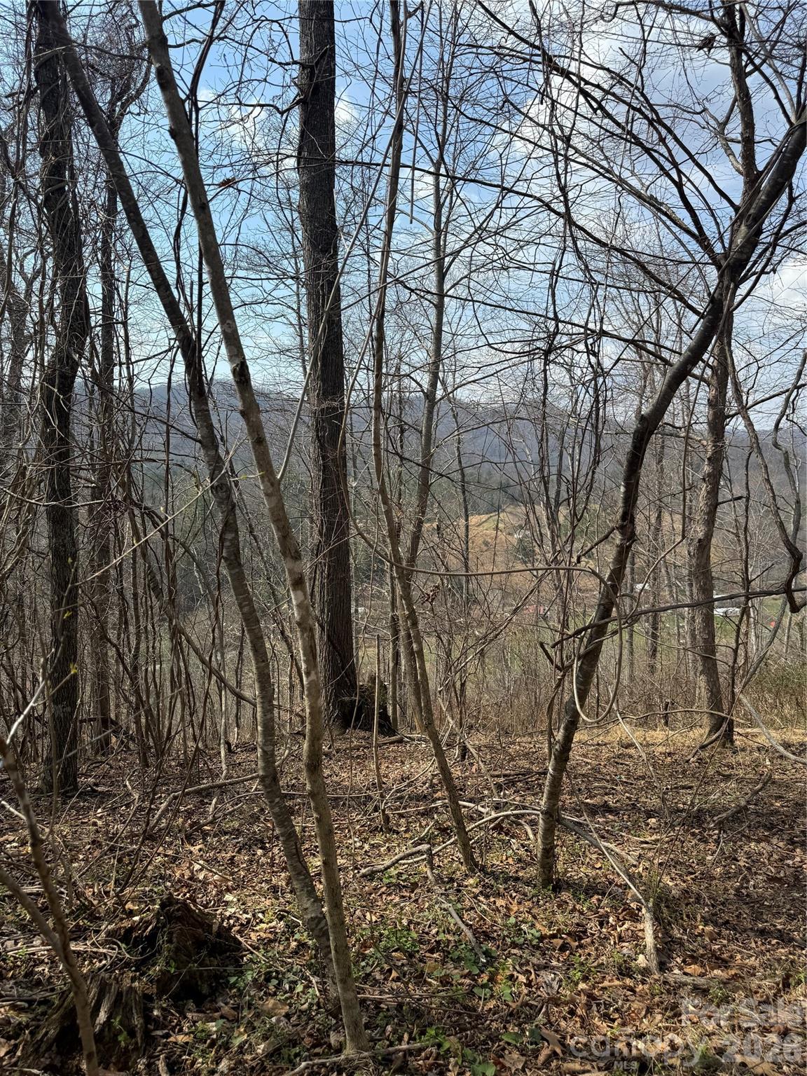 property viewer photo 27