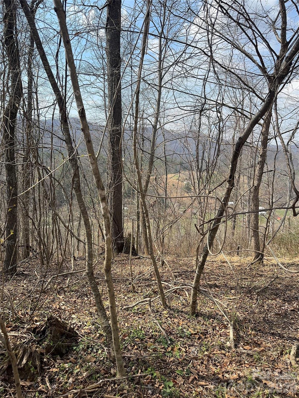 property viewer photo 28