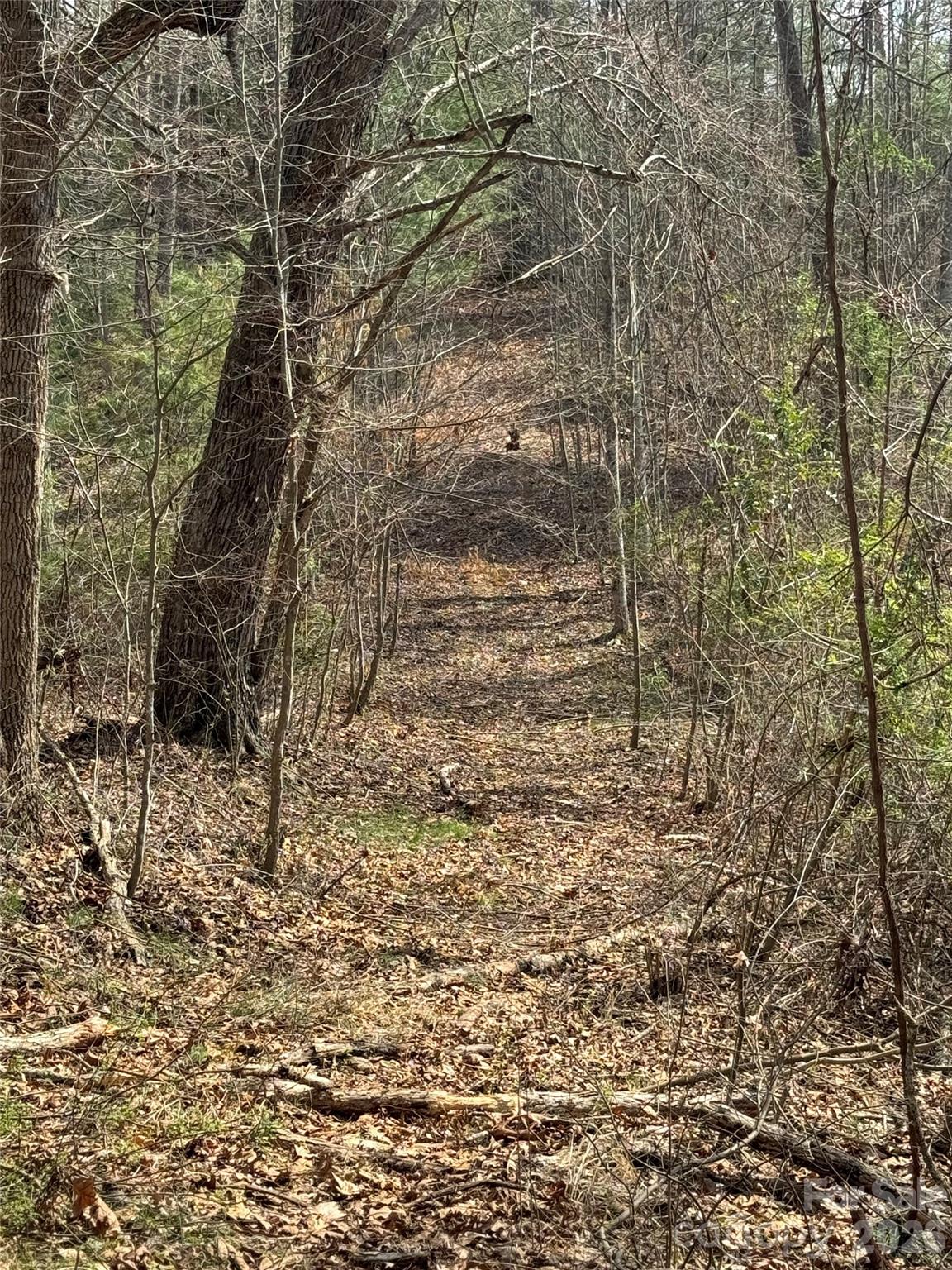 property viewer photo 29