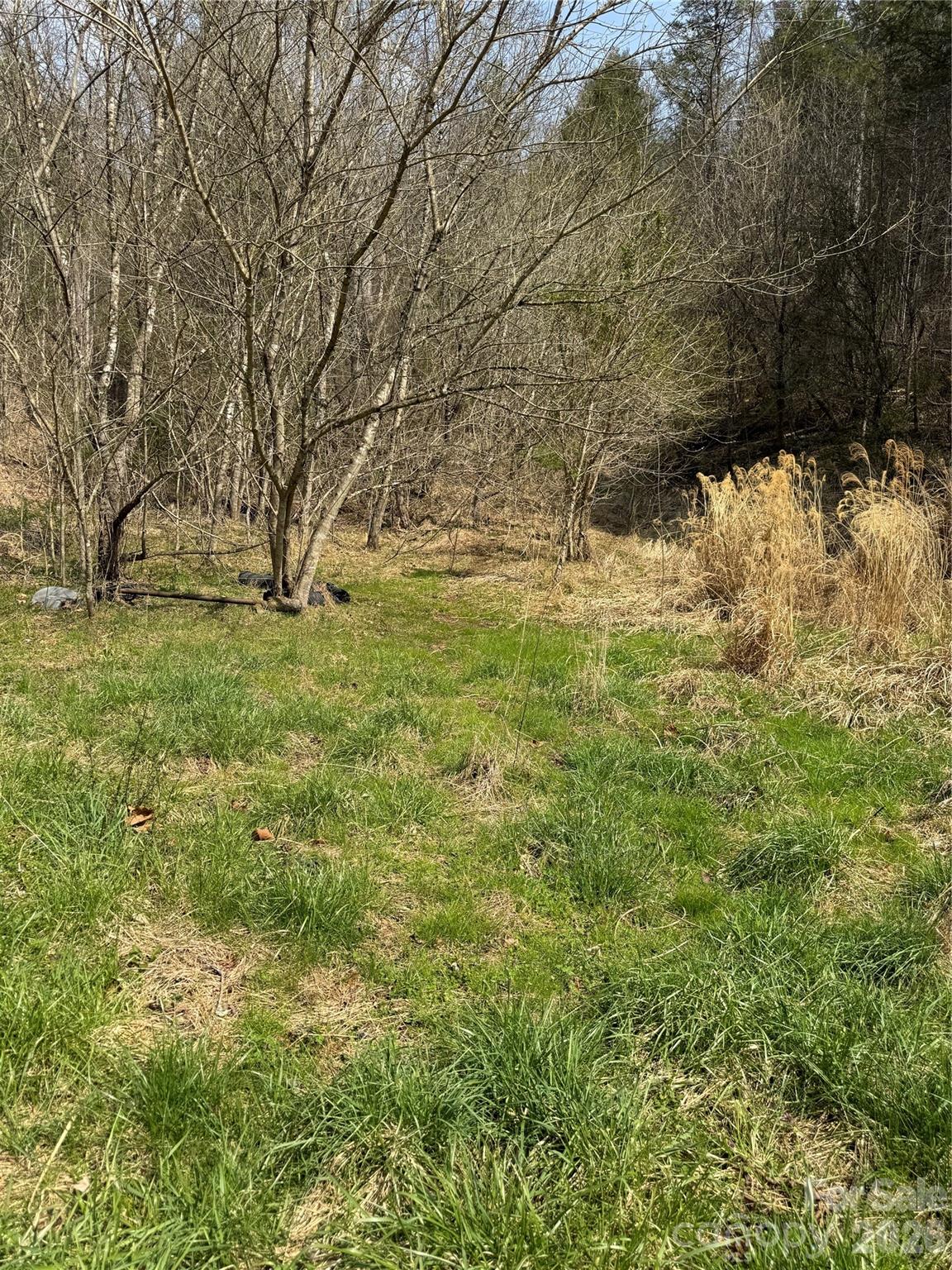 property viewer photo 39