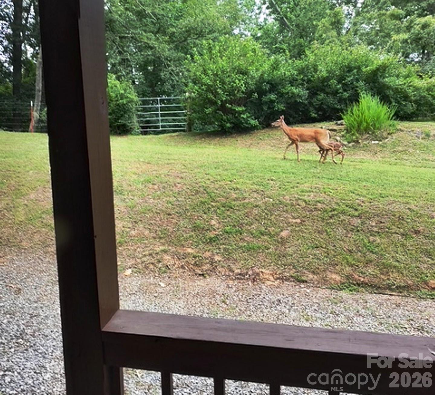 main property photo 43