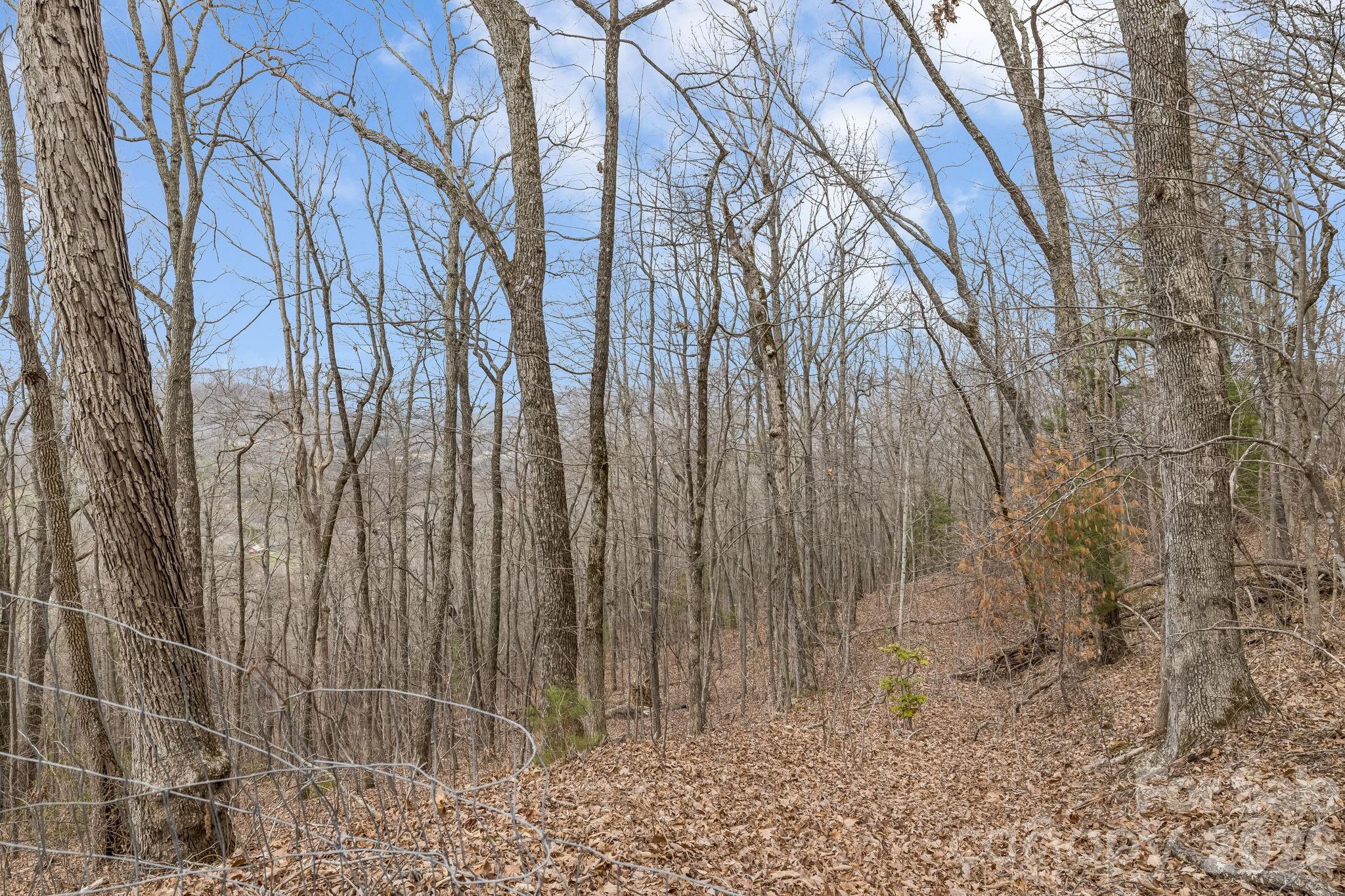main property photo 11