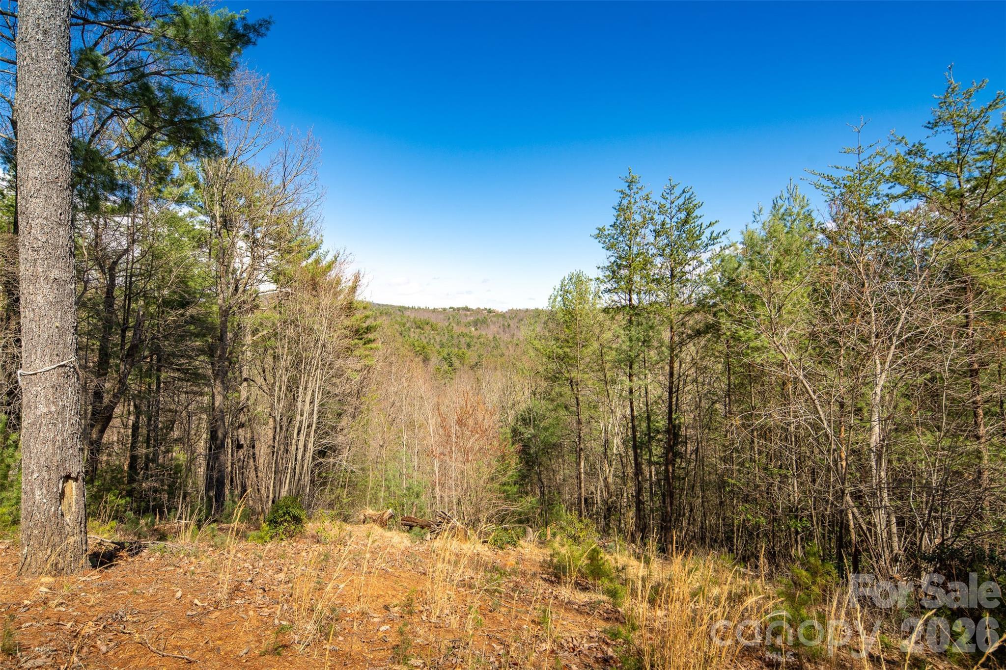 main property photo 34