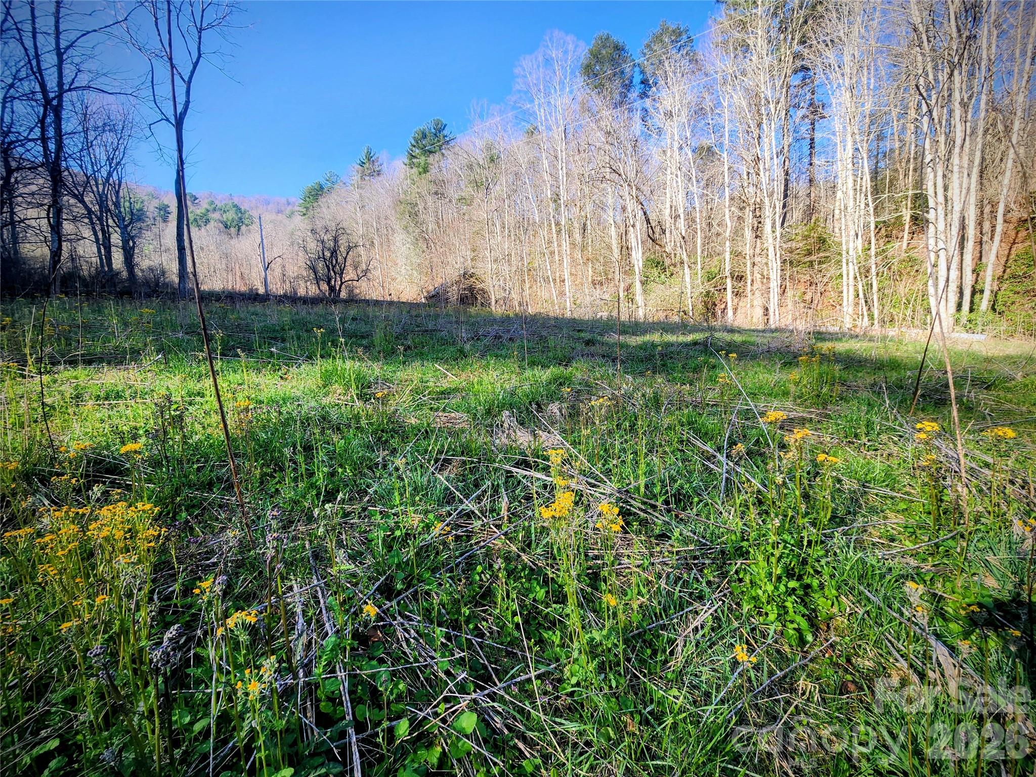 main property photo 36