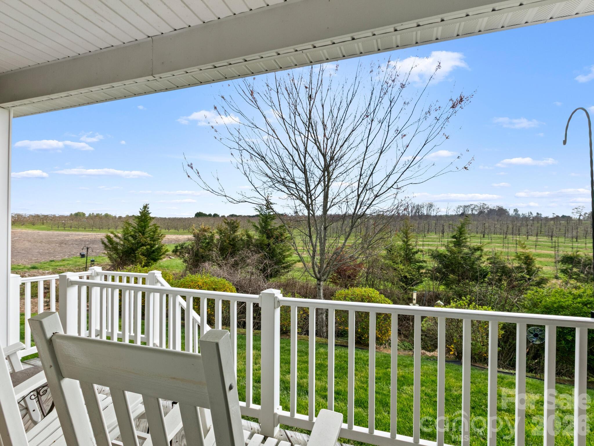 main property photo 25