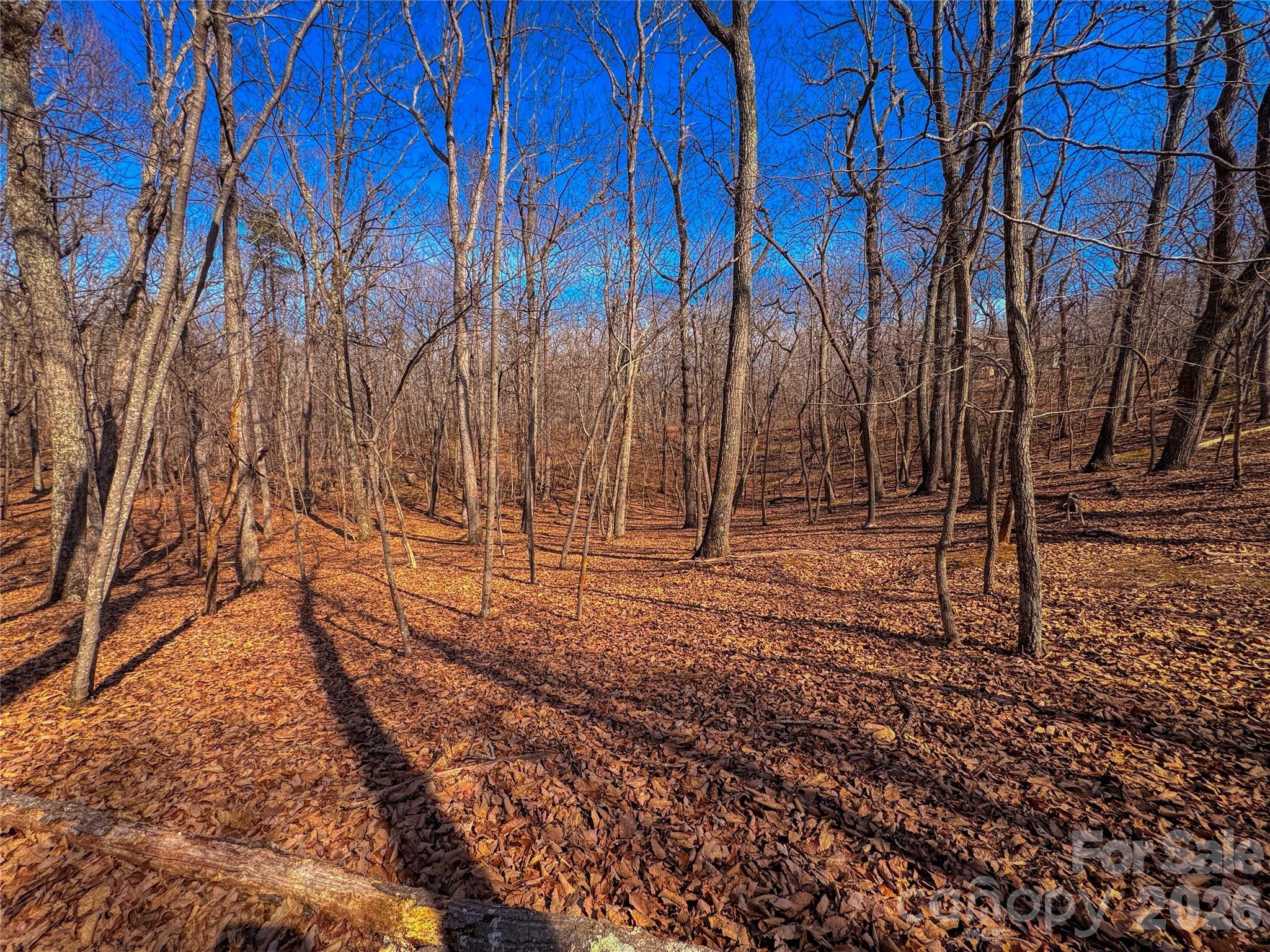 main property photo 11