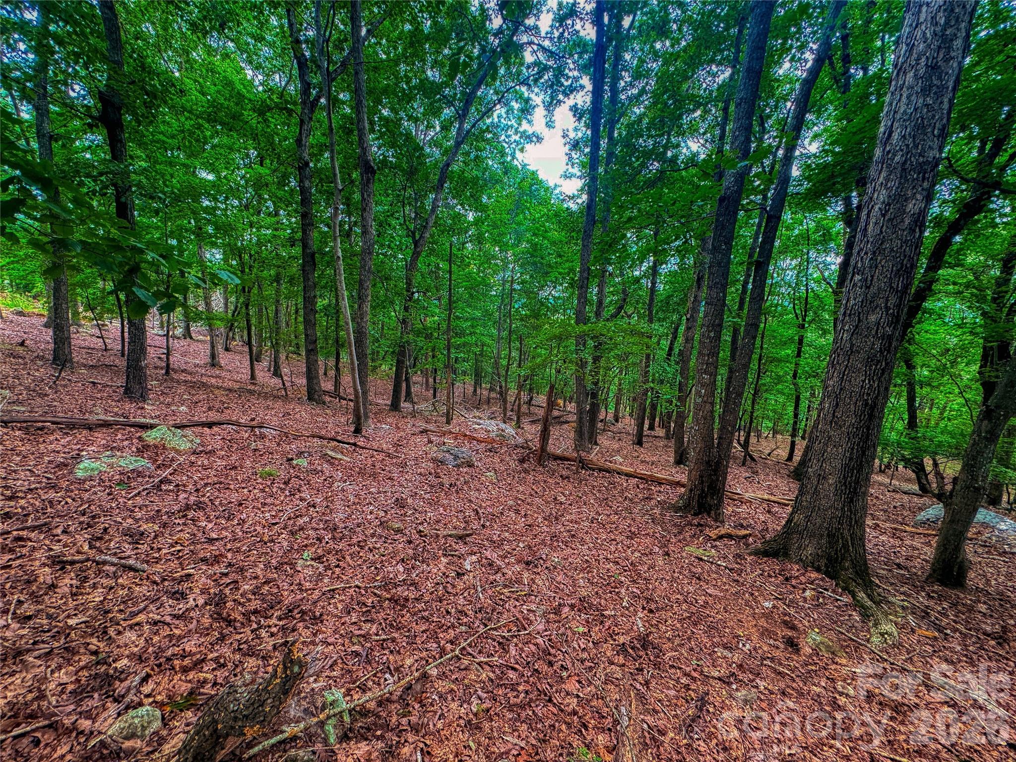 main property photo 13